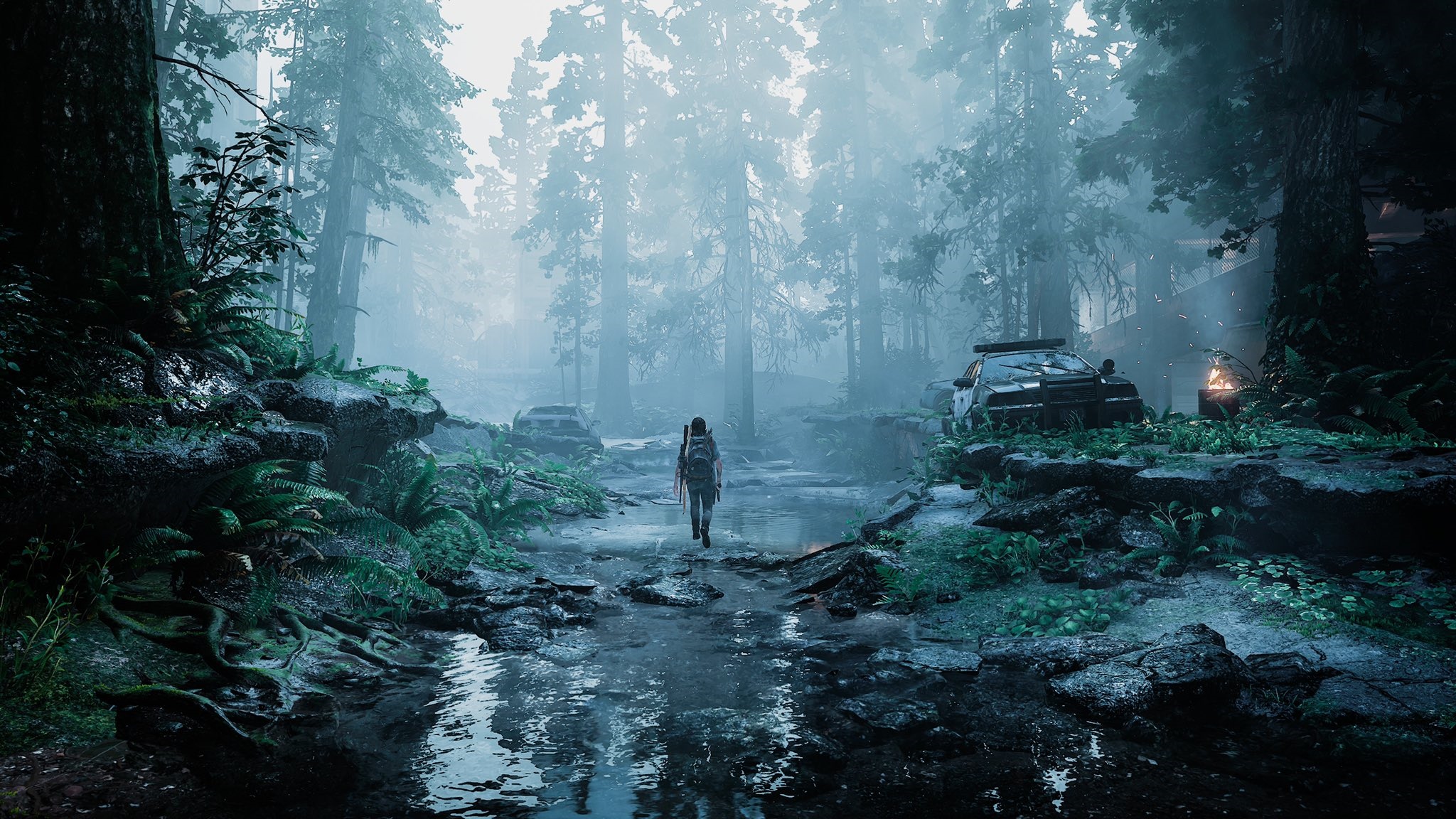 The Last of Us 2: A lone figure walks through a misty forest HD Wallpaper