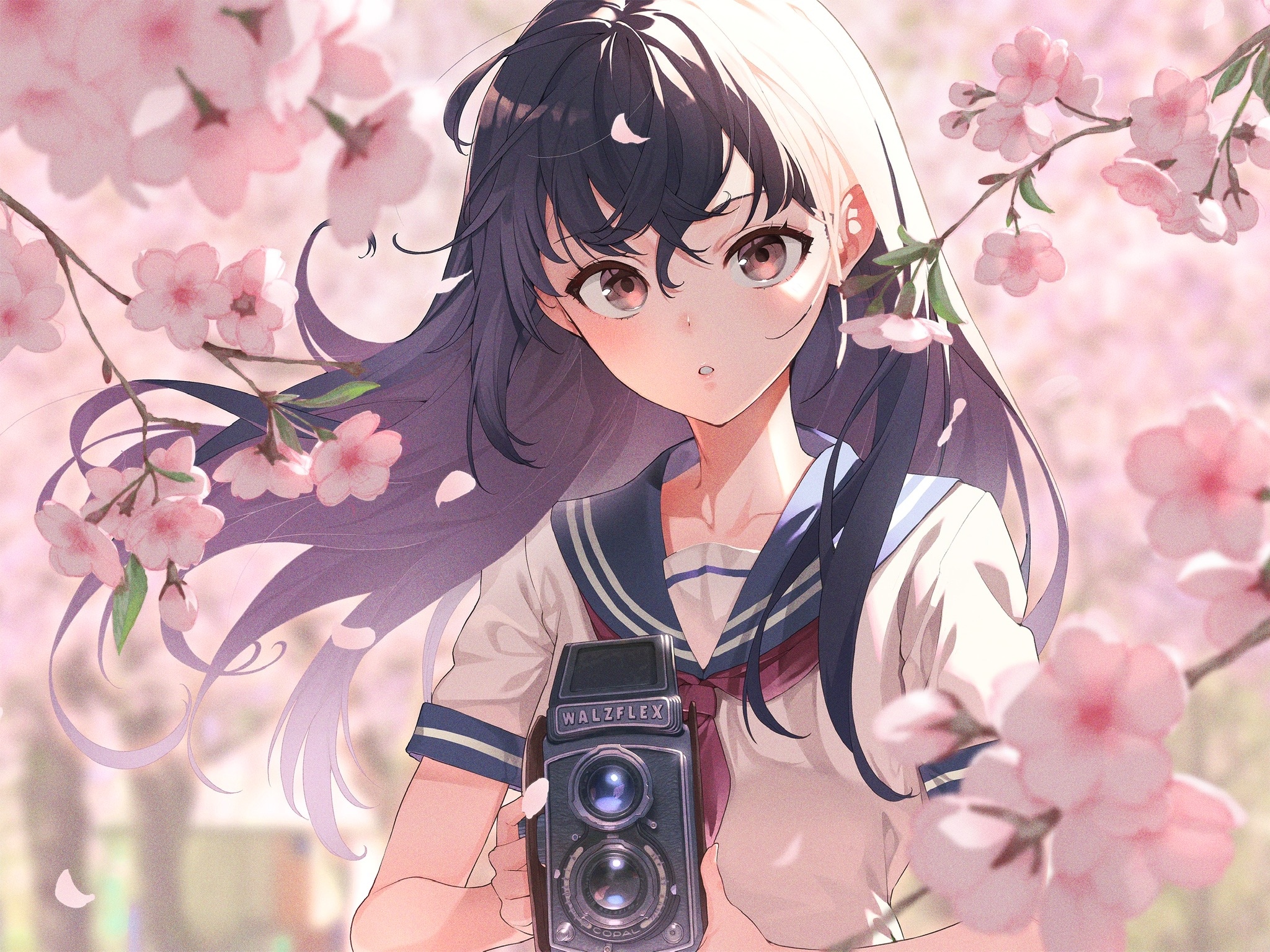 Girl with dark hair holding a camera among cherry blossoms HD Wallpaper