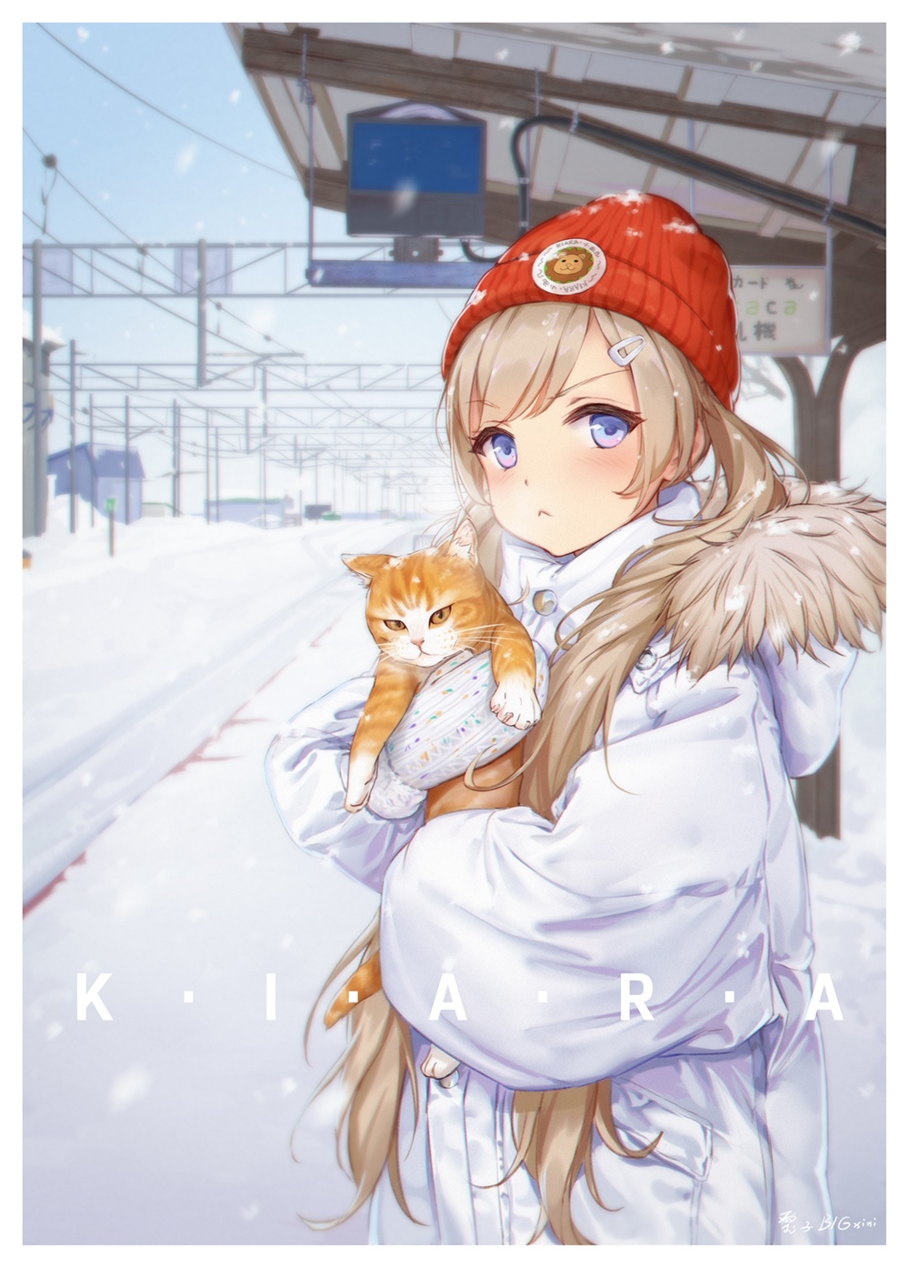 Girl holding a cat in the snow HD Phone Wallpaper