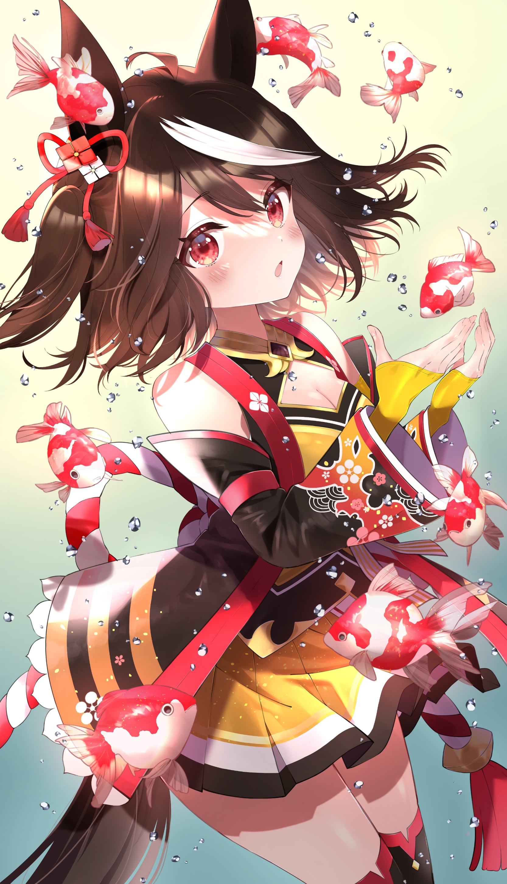 Kitasan Black with Koi Fish HD Phone Wallpaper