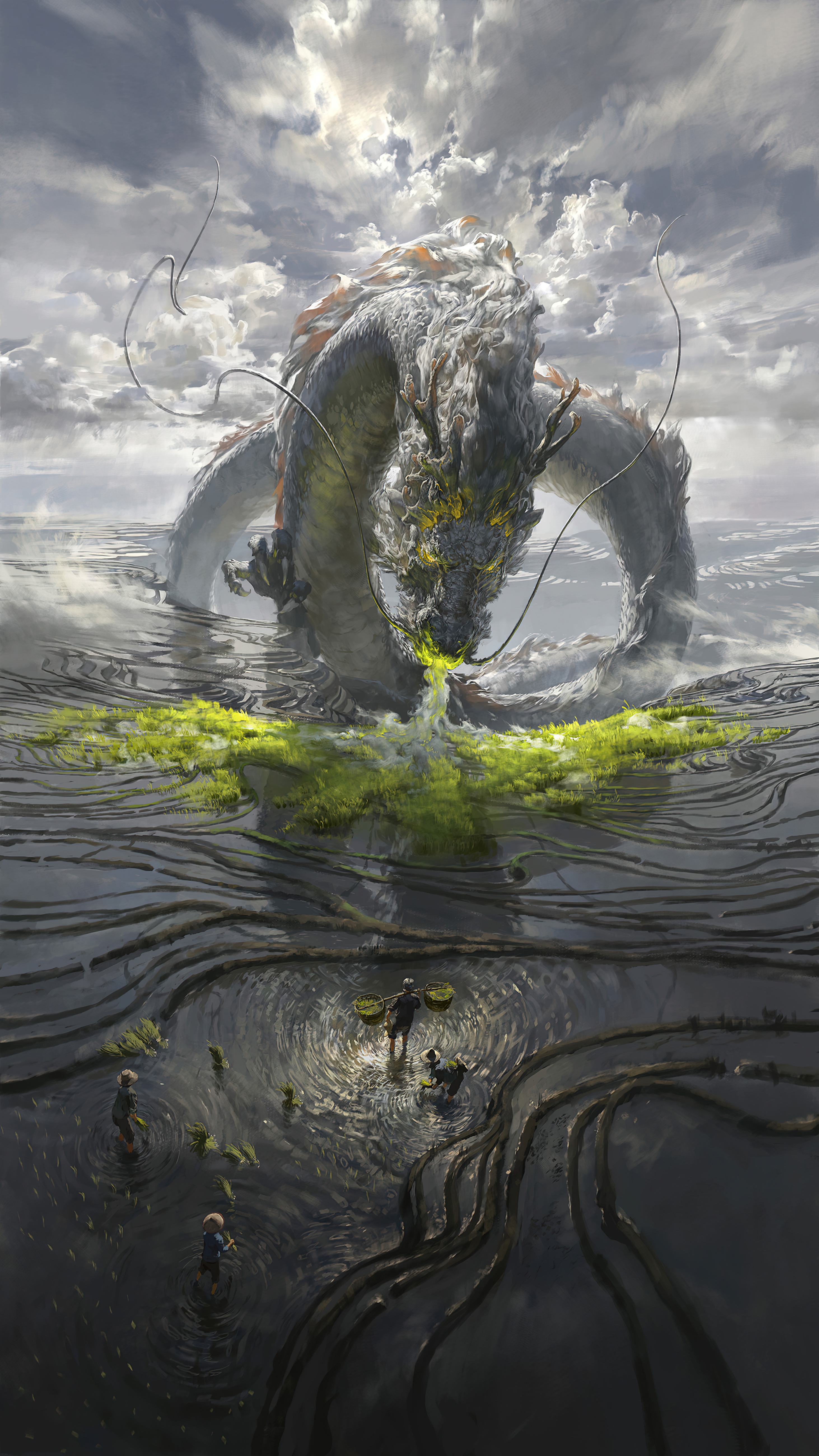 Chinese Dragon over Rice Fields with Farmers HD Phone Wallpaper