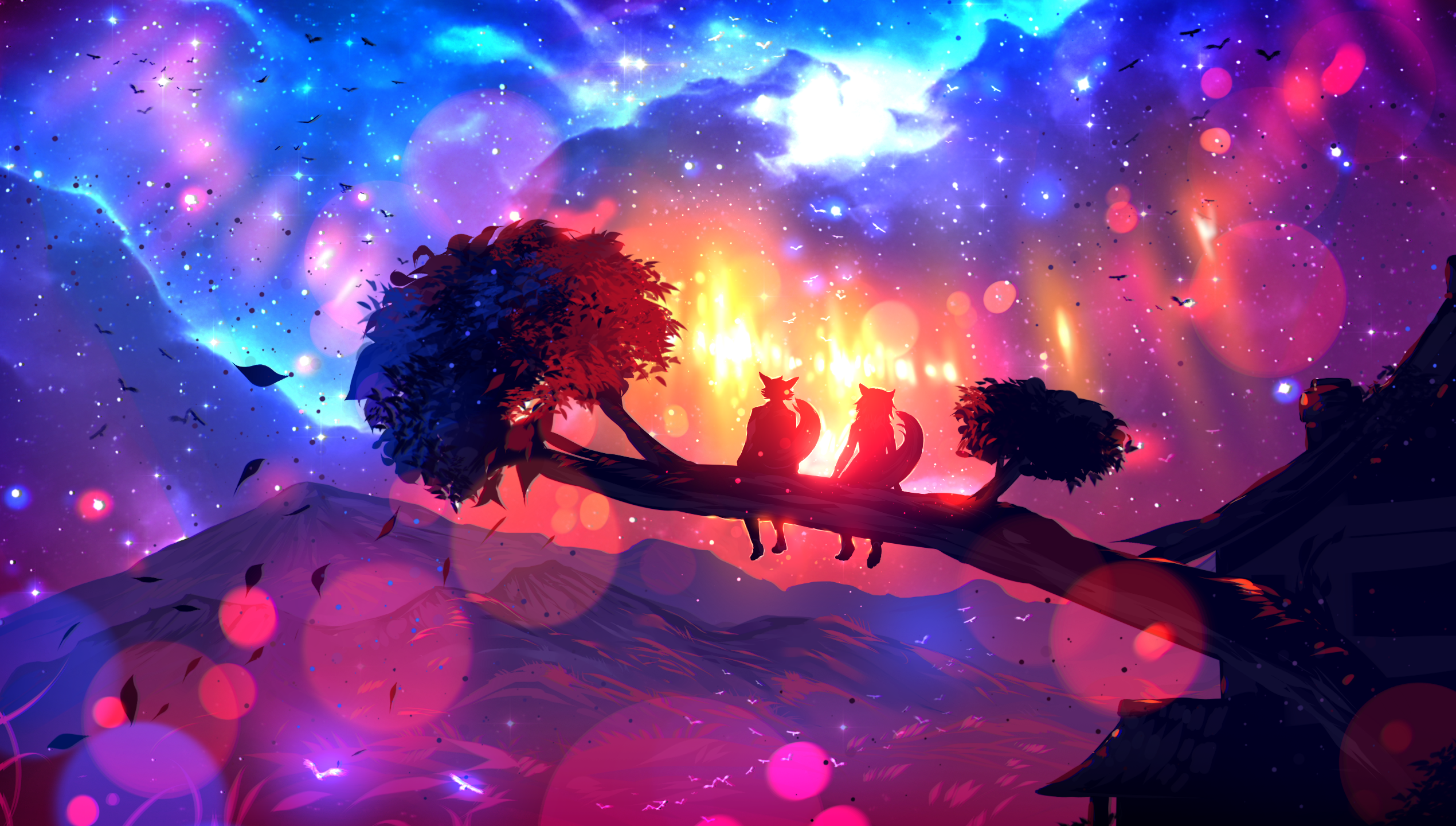 Anthro Fox Couple Sitting on a Tree Branch Under a Starry Sky HD Wallpaper