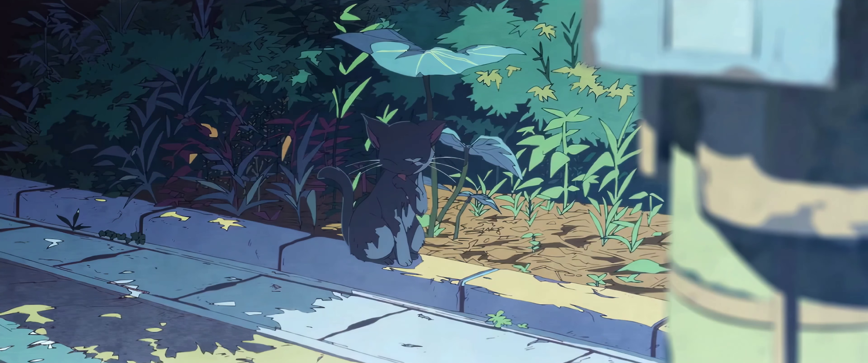 Komi-san wa, Comyushou desu. Black Cat Sitting by the Road HD Wallpaper