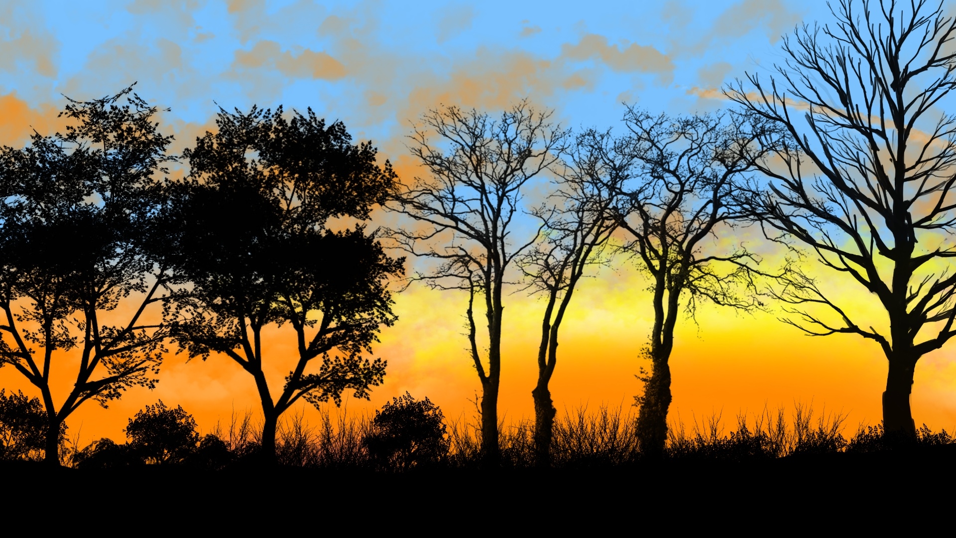 Digital painting of a landscape with trees at sunset HD Wallpaper