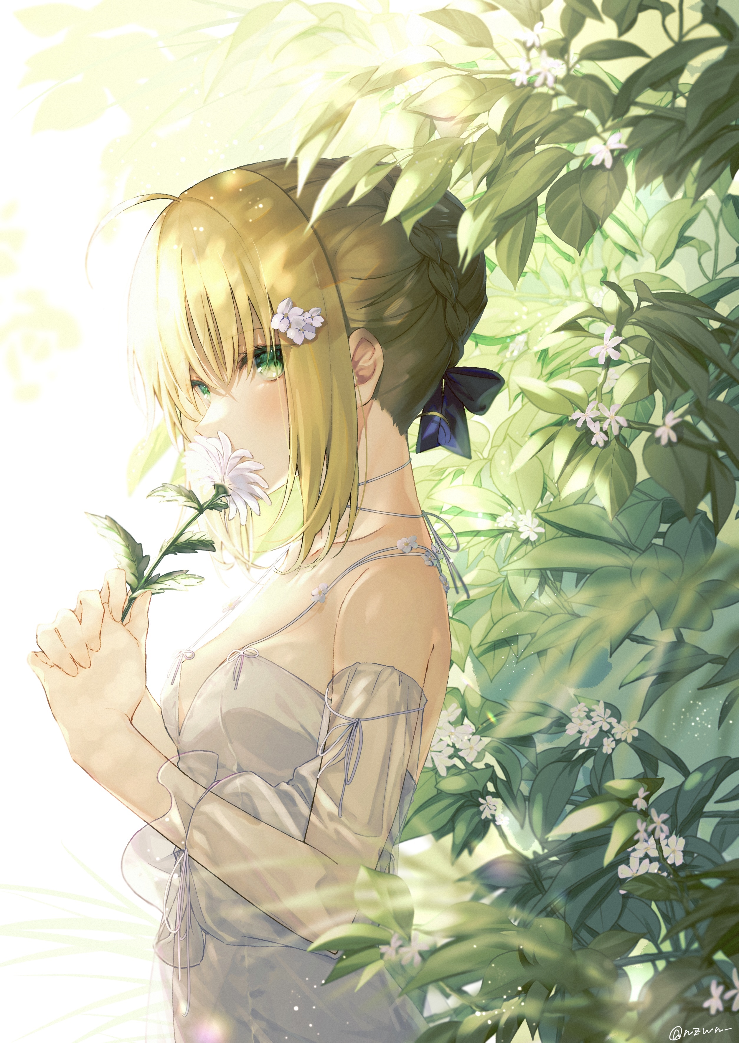 Artoria Pendragon from Fate/Stay Night holding a flower HD Phone Wallpaper