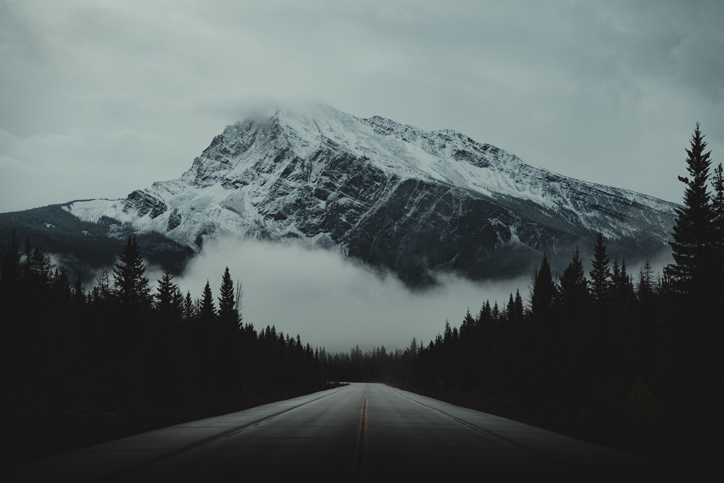 Snow-capped mountain road through a dark forest HD Wallpaper