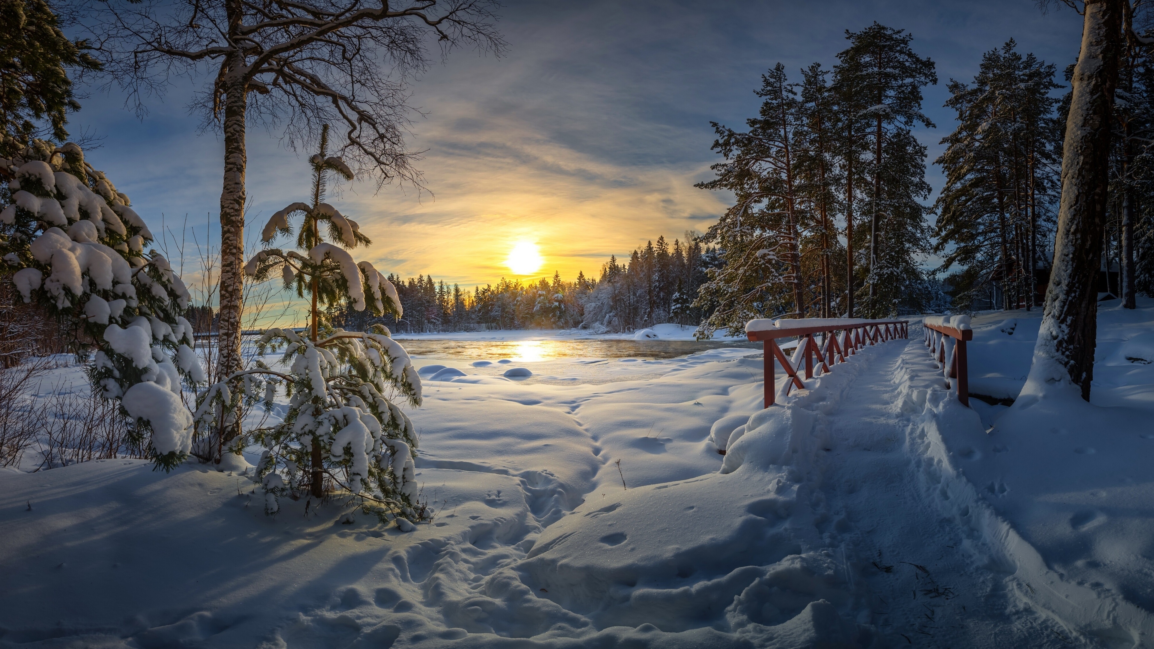 4K winter landscape with snow-covered trees and a bridge HD Wallpaper