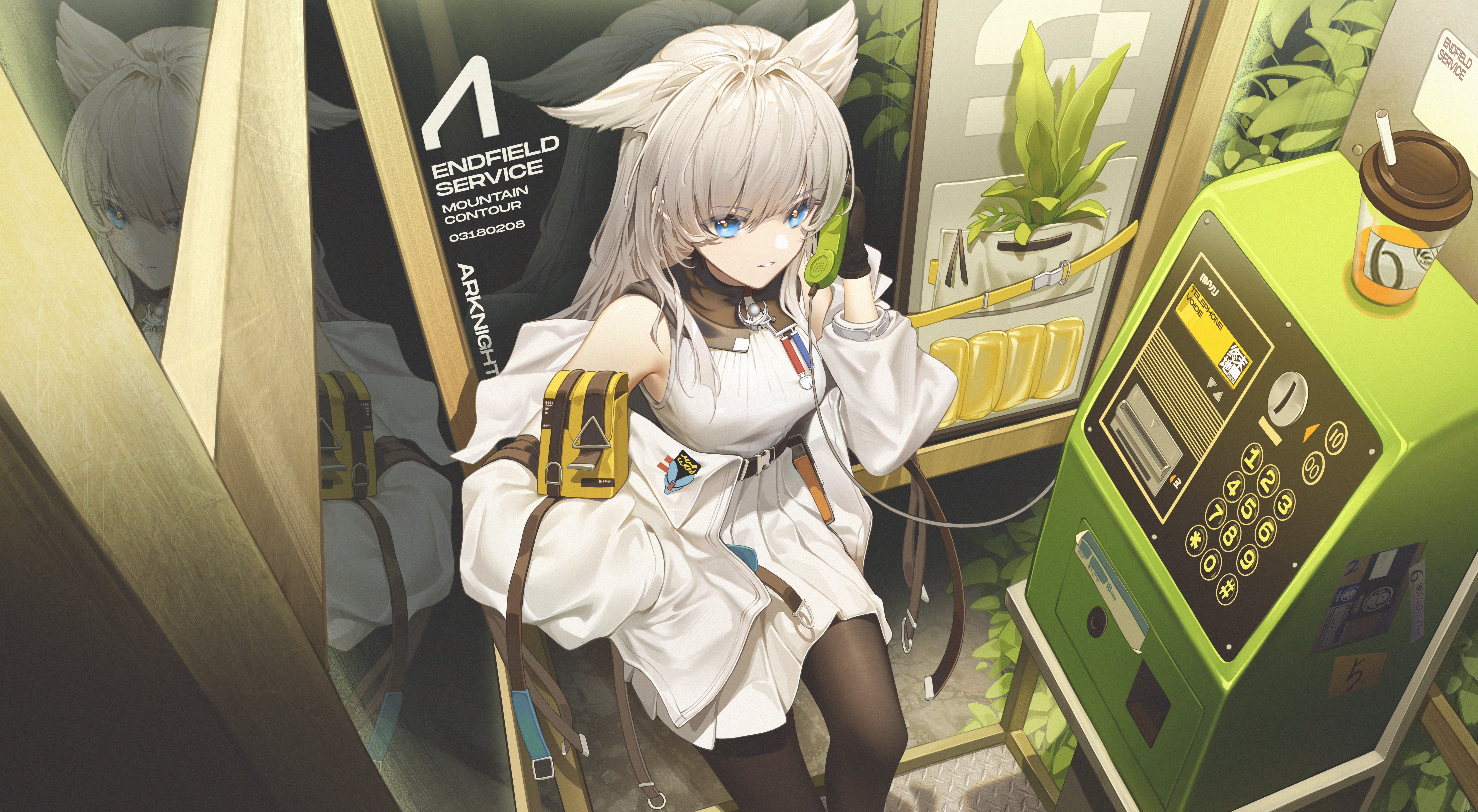 4K Arknights character with animal ears and blue eyes HD Wallpaper