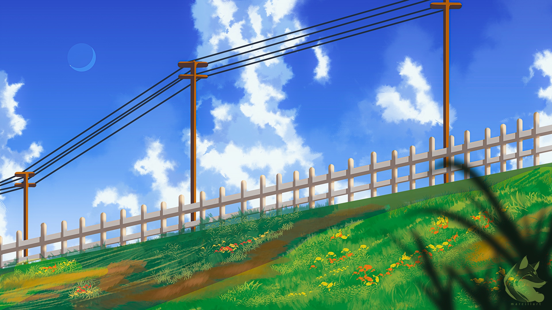 Telephone poles and fence on a grassy hill under a blue sky HD Wallpaper