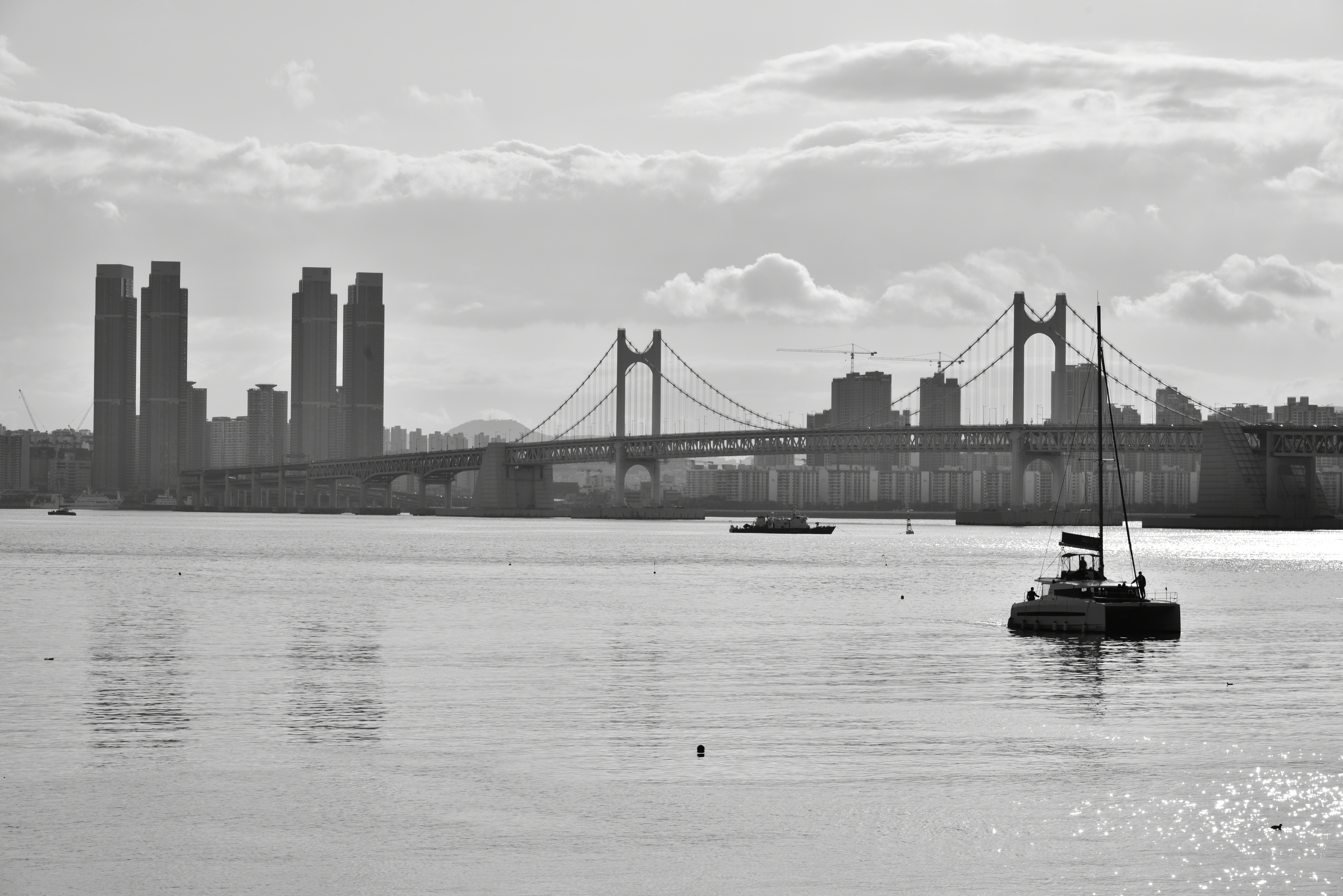 Busan cityscape with Gwangan Bridge and skyscrapers HD Wallpaper