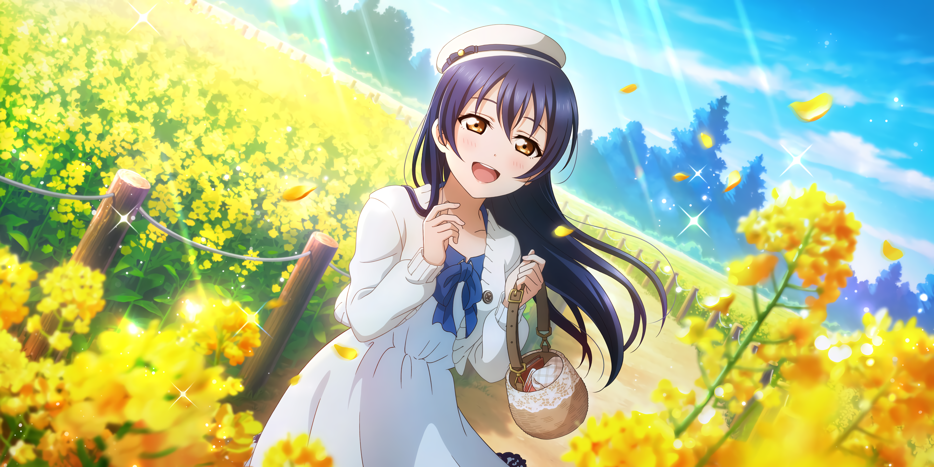Sonoda Umi in a field of yellow flowers HD Wallpaper