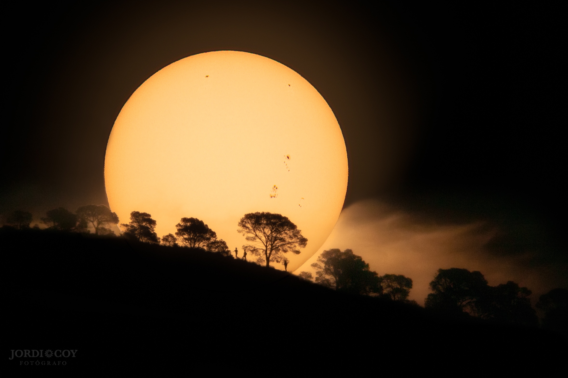 Silhouettes of trees and people against the sun HD Wallpaper