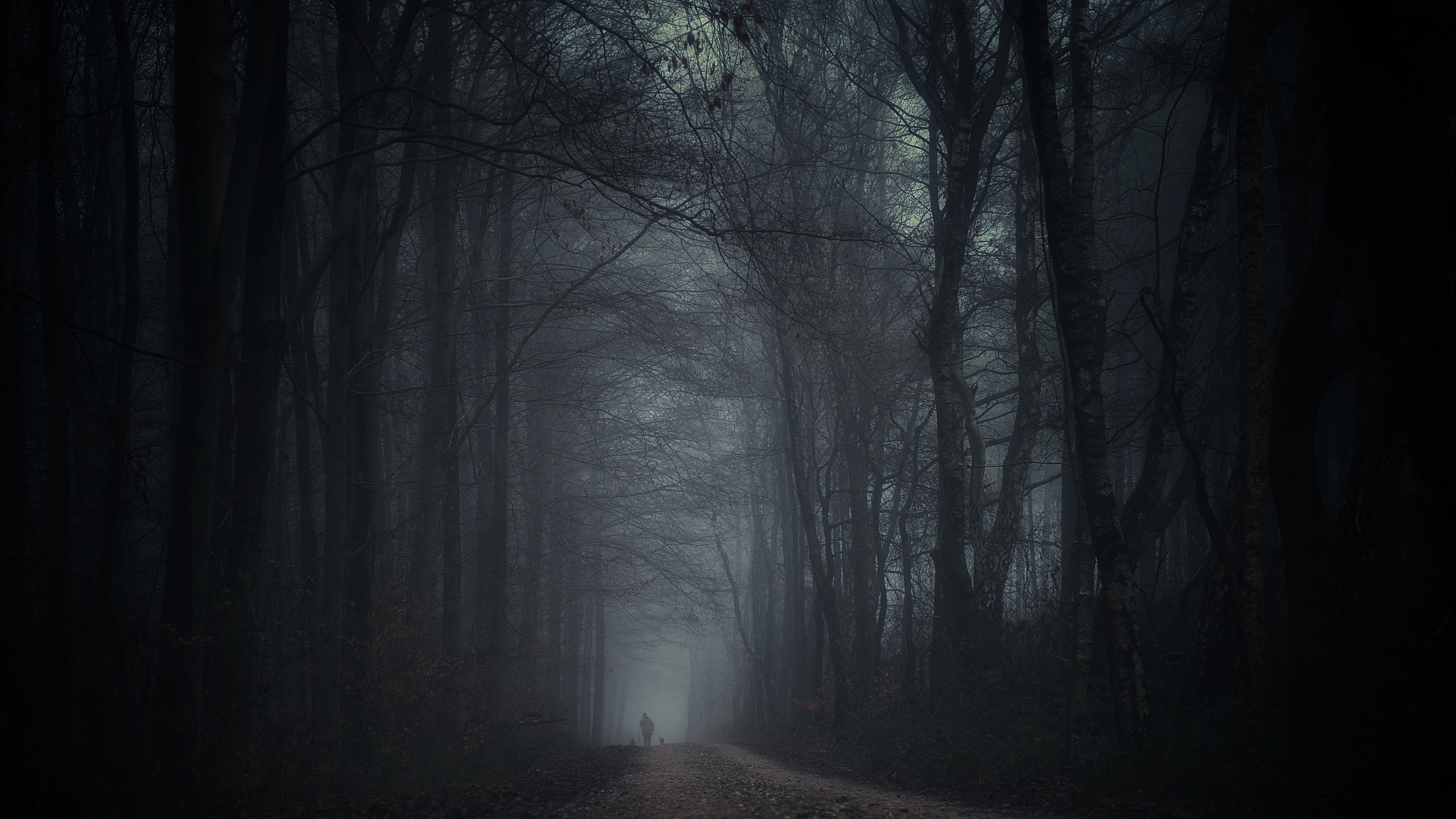 A lone figure walks through a misty forest HD Wallpaper
