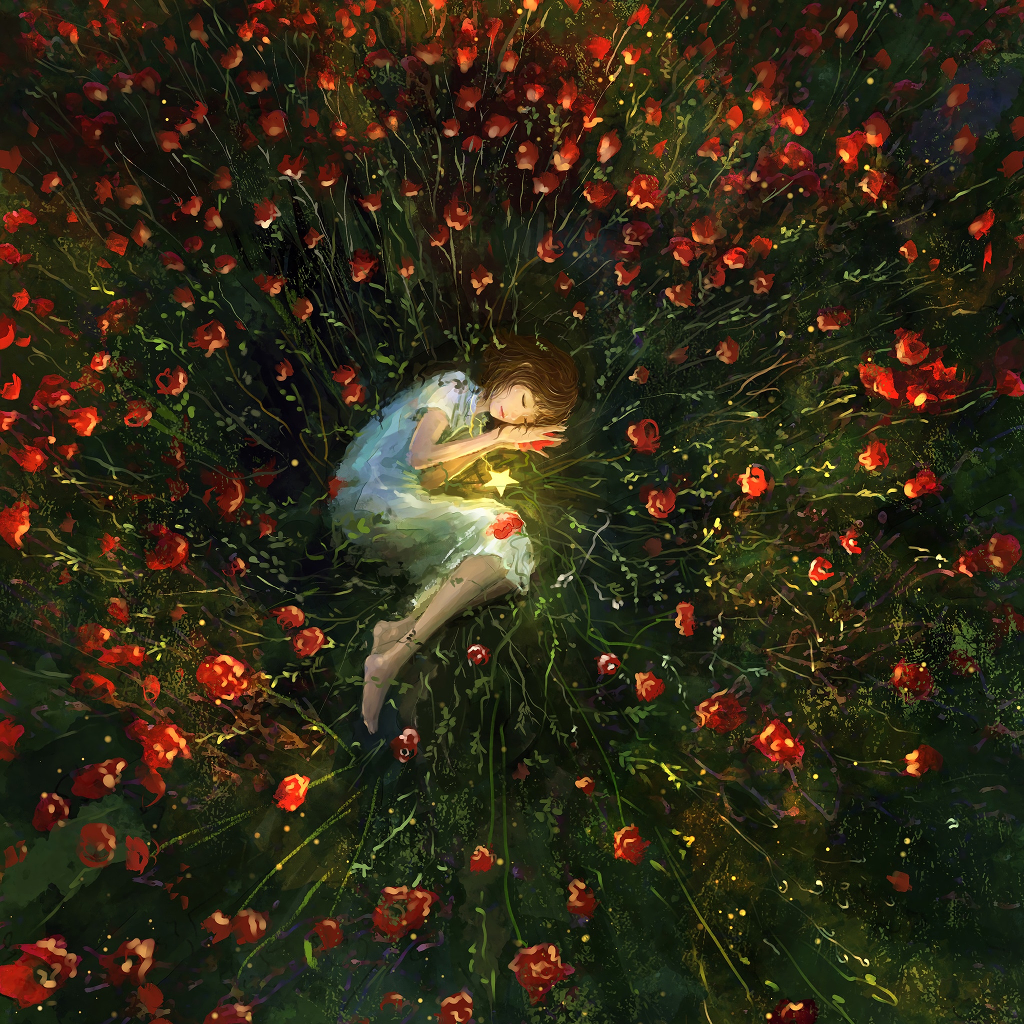 Girl sleeping in a field of red flowers with a glowing star HD Wallpaper