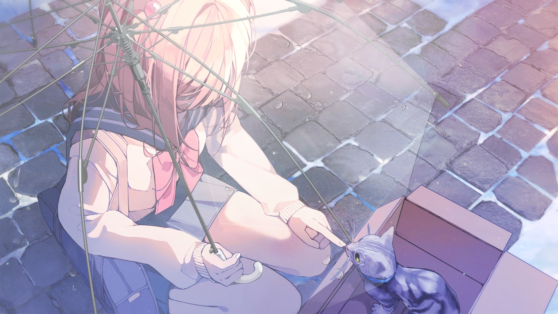 Anime girl with umbrella and cat in a box HD Wallpaper