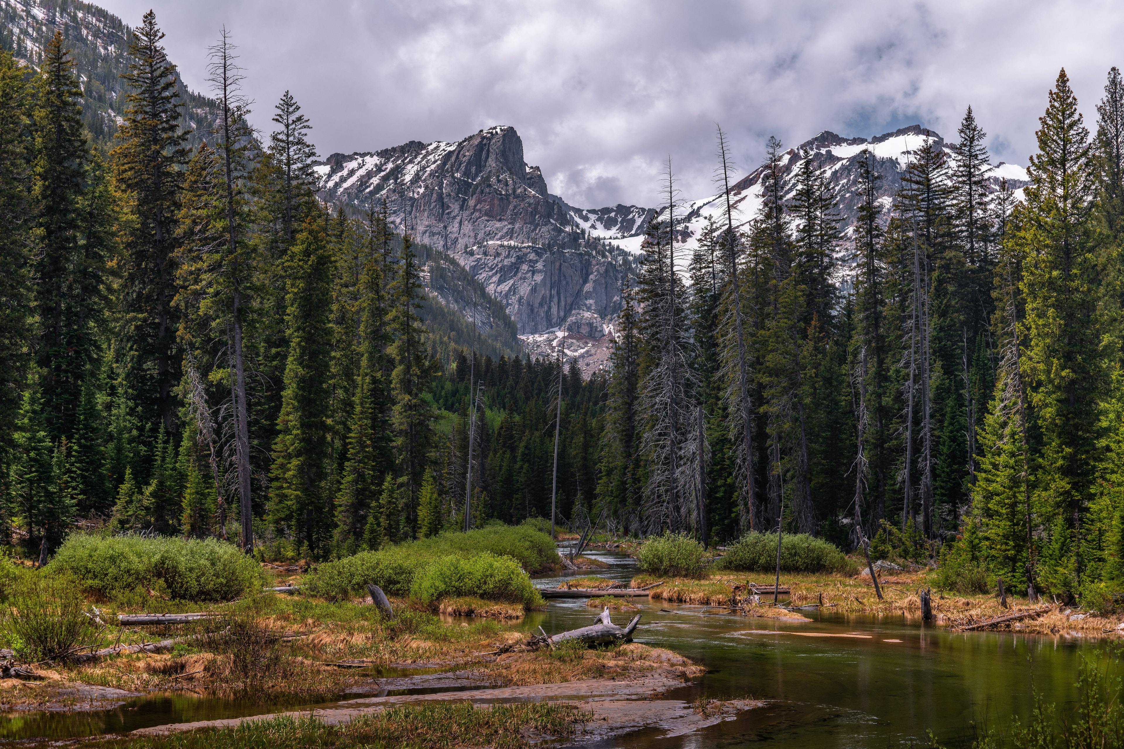 4K landscape of mountains, river, and forest in USA HD Wallpaper