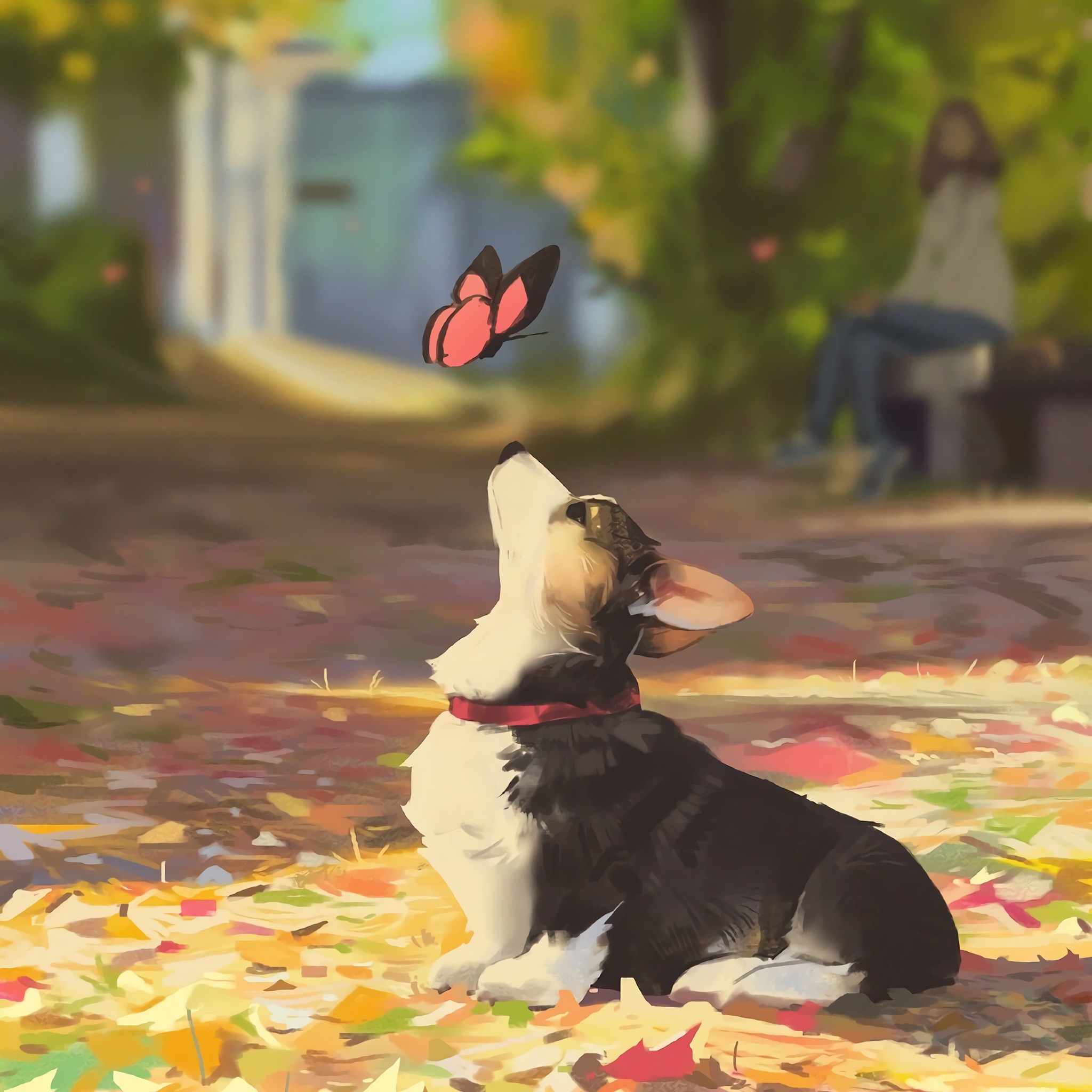Corgi dog looking at a butterfly in a park HD Wallpaper