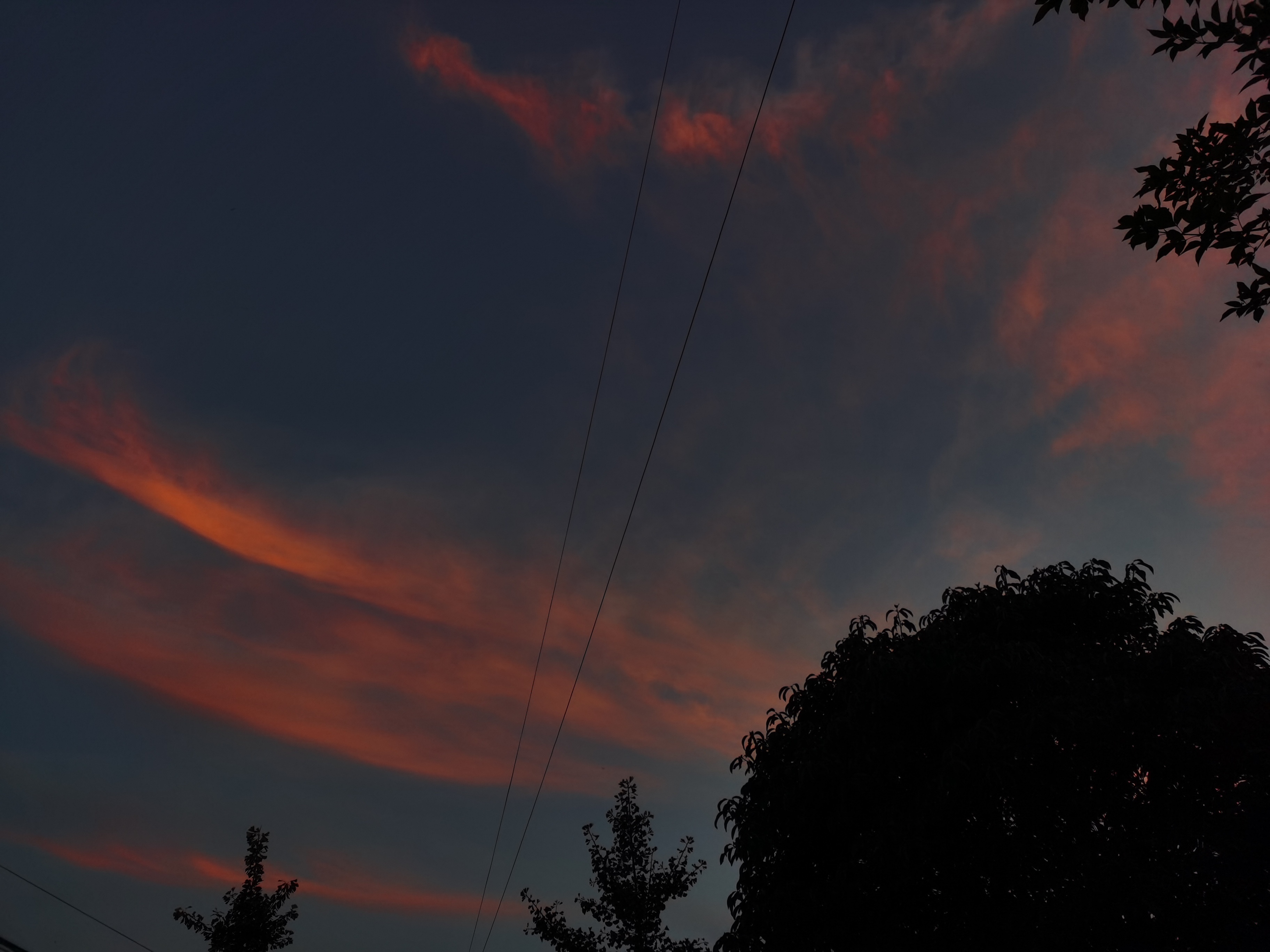 Evening sky with clouds and trees HD Wallpaper
