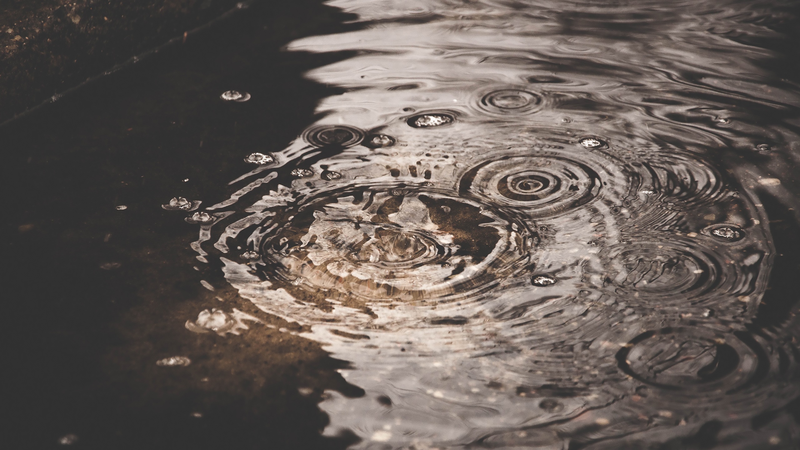 Water drops creating ripples in brown water HD Wallpaper