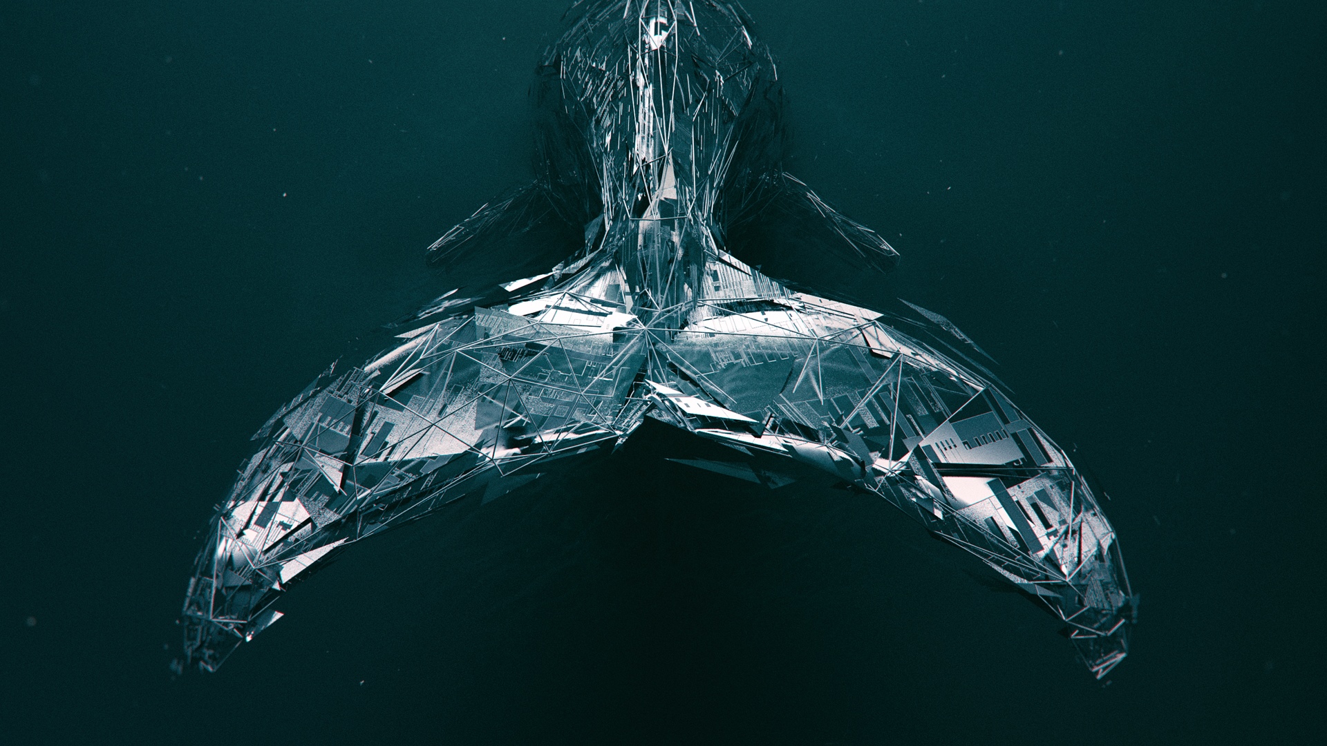 Muzz Whale Album Cover Art HD Wallpaper