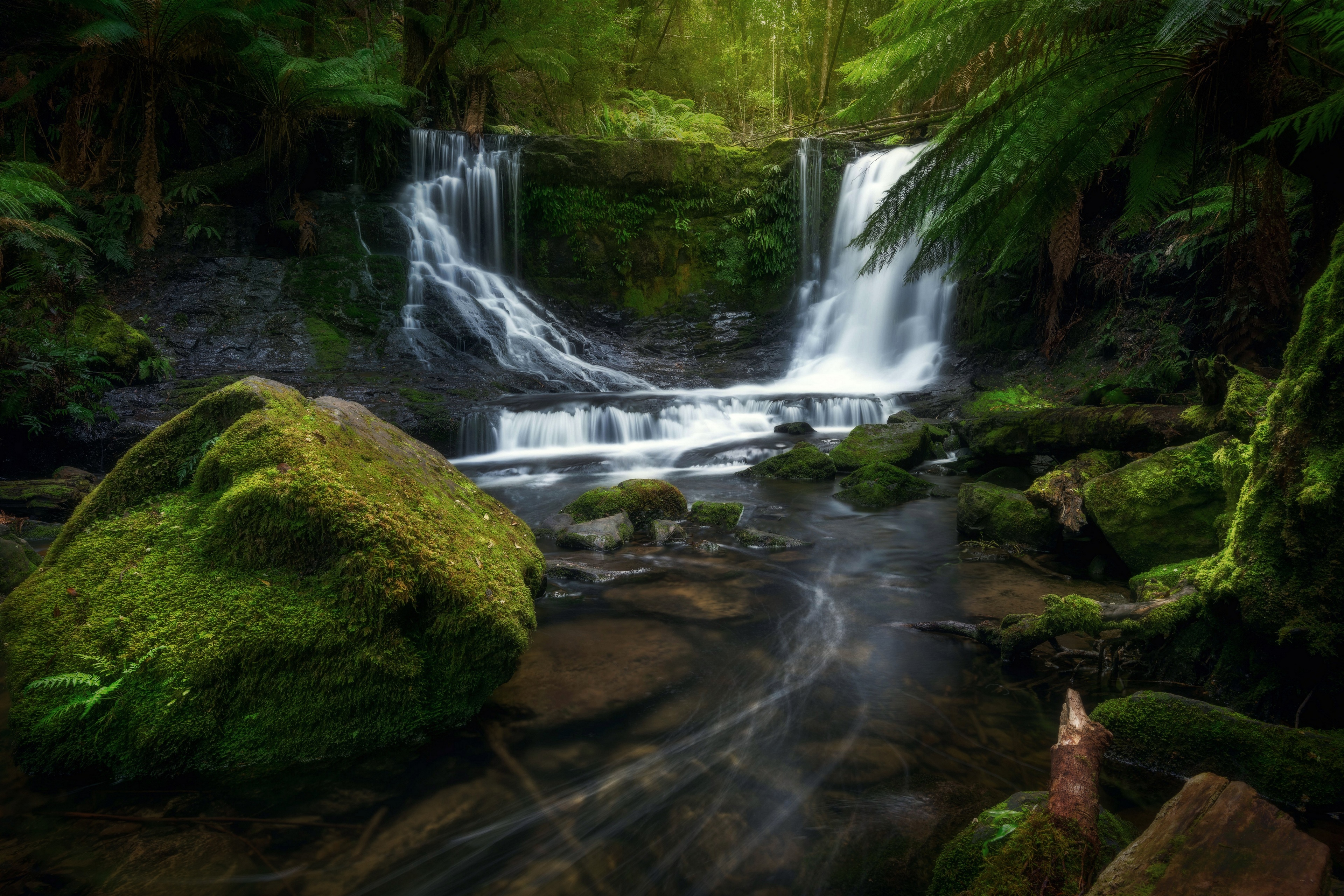 4K Waterfall in a Mossy Forest HD Wallpaper