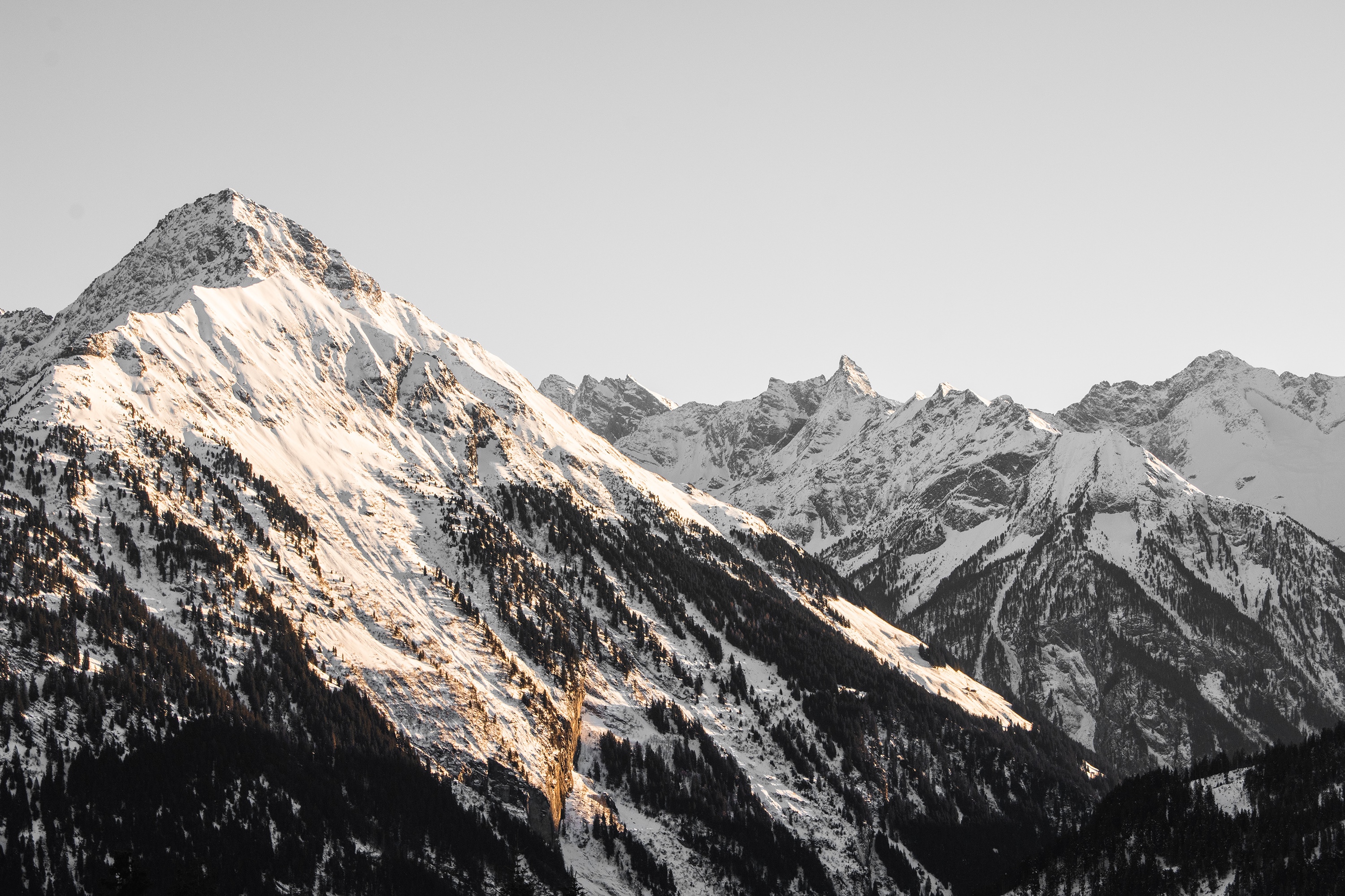 Snow-covered mountains with pine trees and clear sky HD Wallpaper