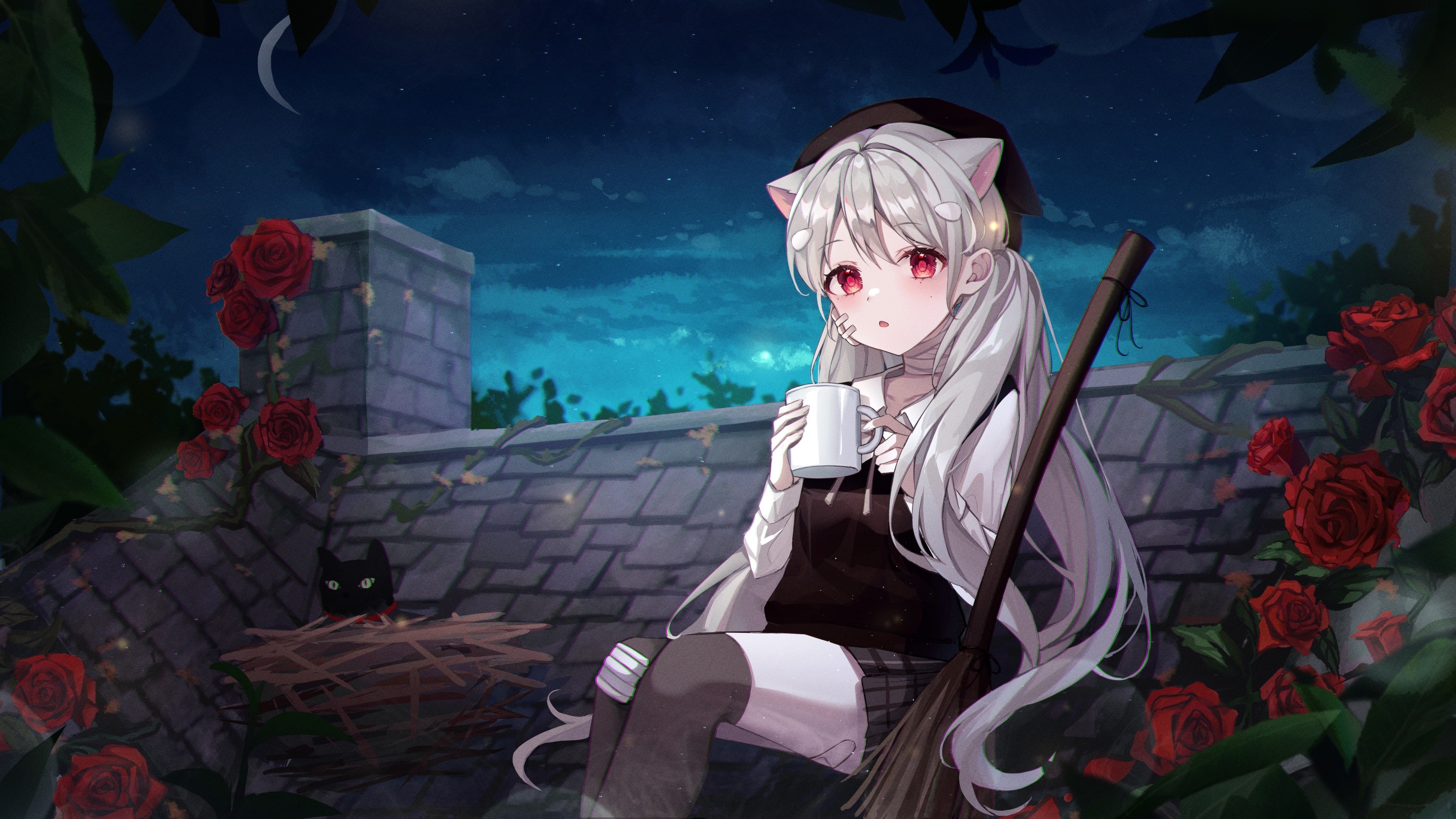 Anime girl with cat ears and broom on rooftop HD Wallpaper