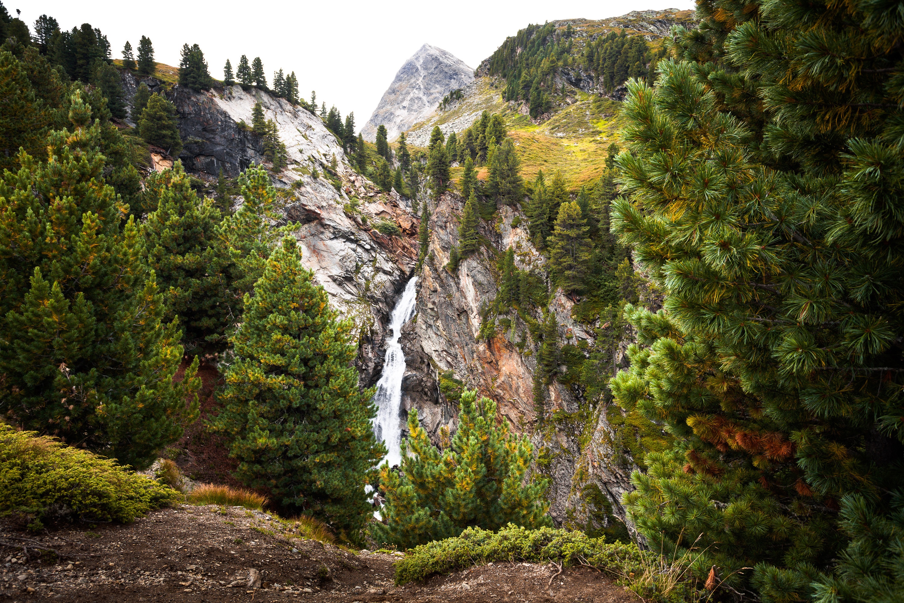 Waterfall cascading down a rocky mountain surrounded by pine trees HD Wallpaper