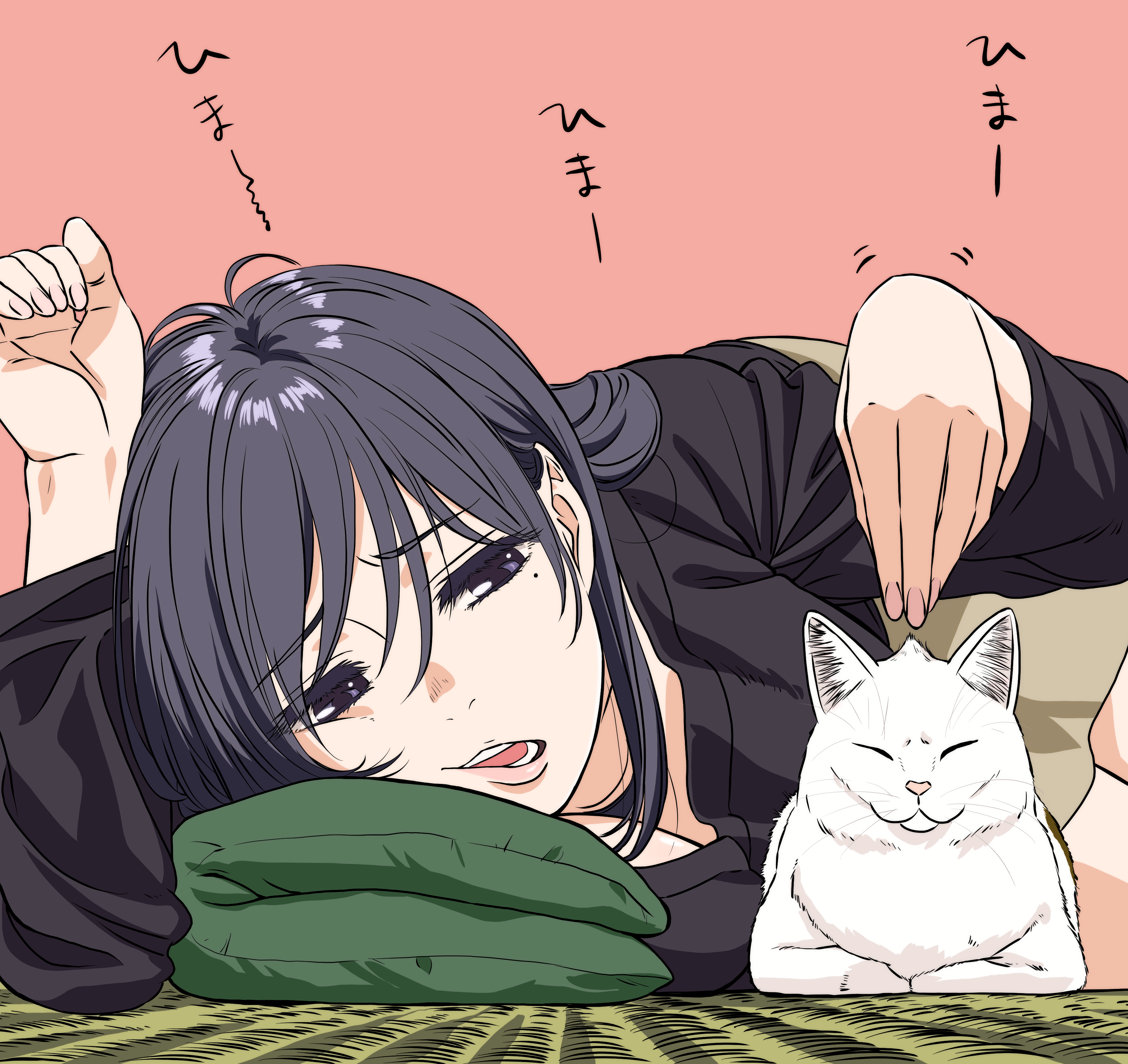 Anime girl and white cat lying down HD Wallpaper