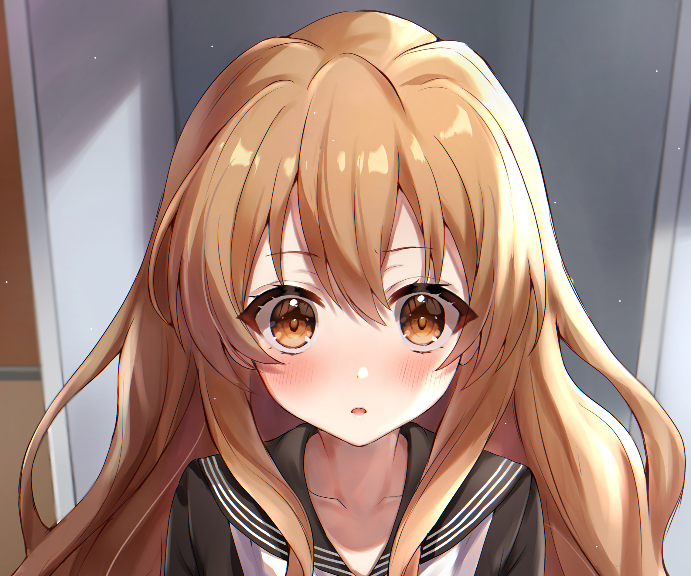 Aisaka Taiga from Toradora! anime HD Wallpaper