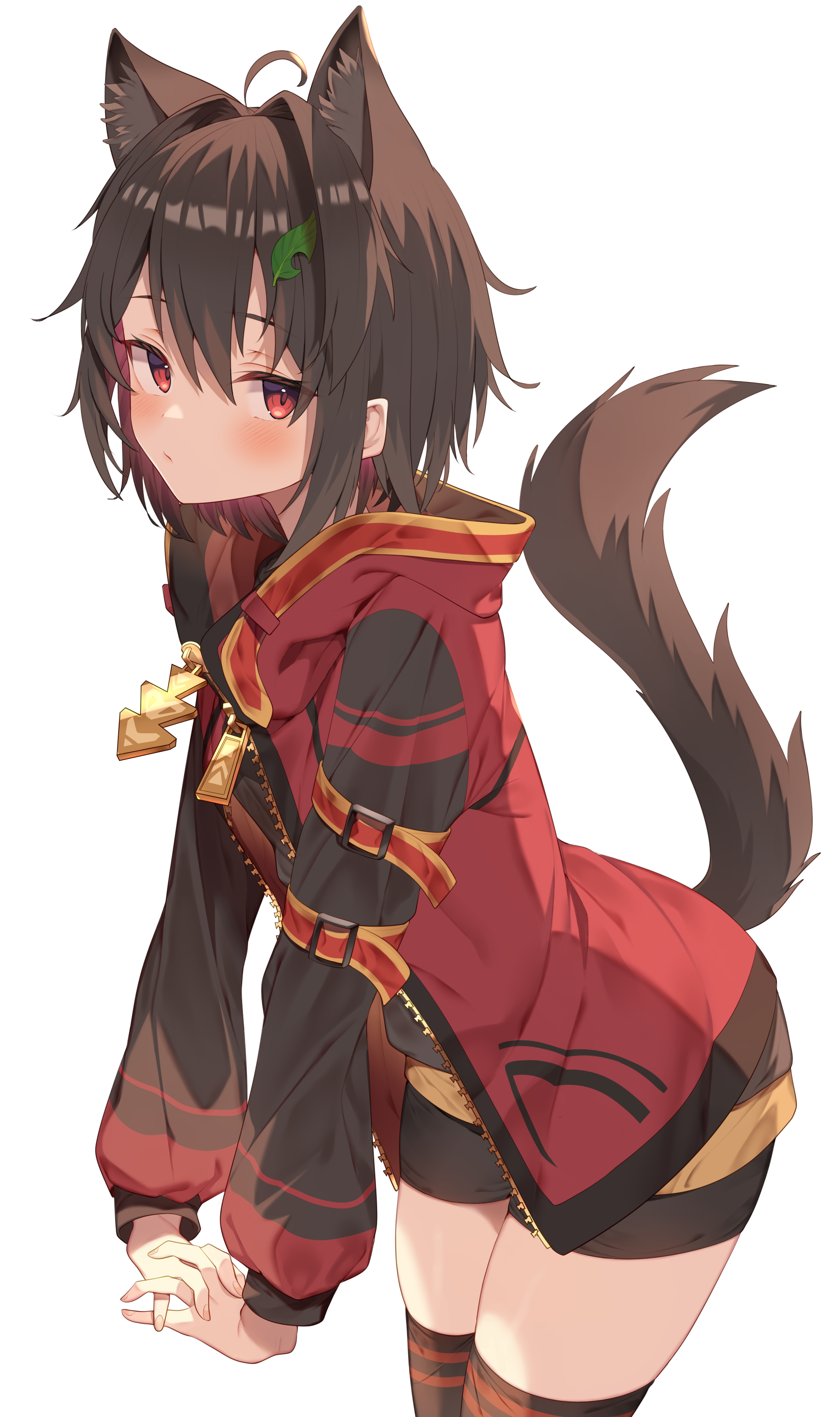 Jun with wolf ears and tail wearing red jacket HD Phone Wallpaper