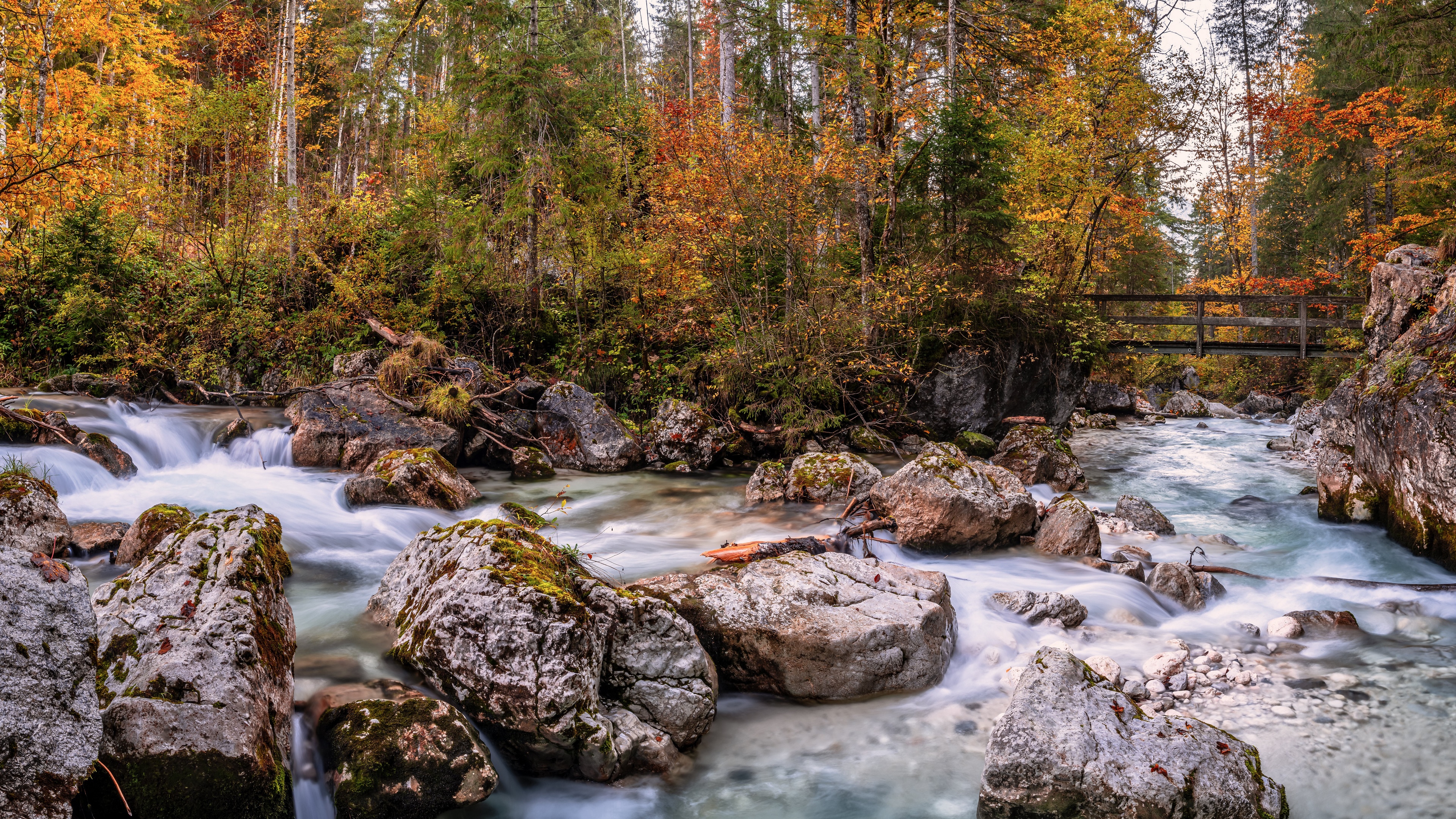 4K river flowing through a forest in fall, Germany HD Wallpaper