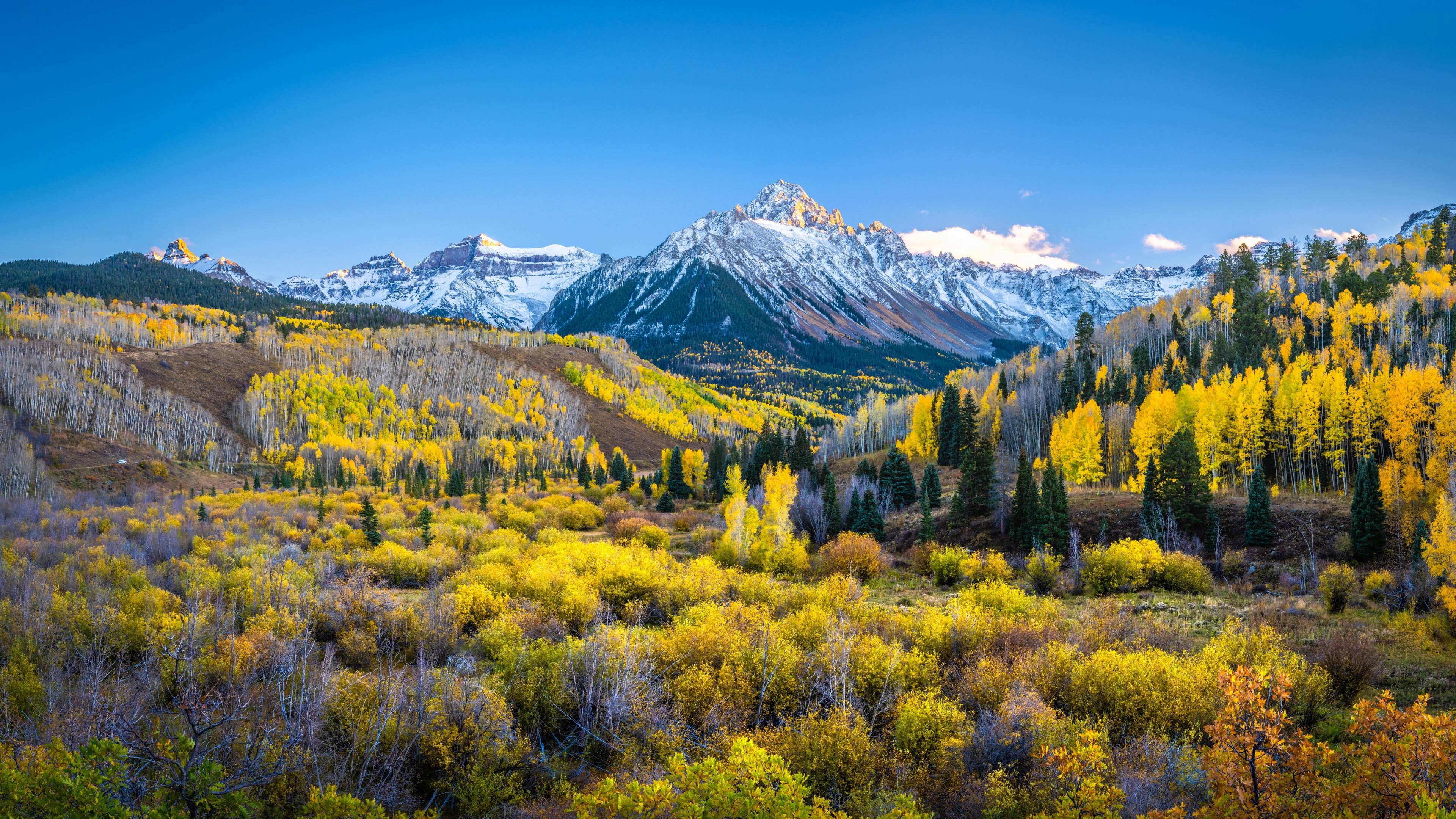 Yellow Aspen Trees and Snow-Capped Mountains in Fall HD Wallpaper