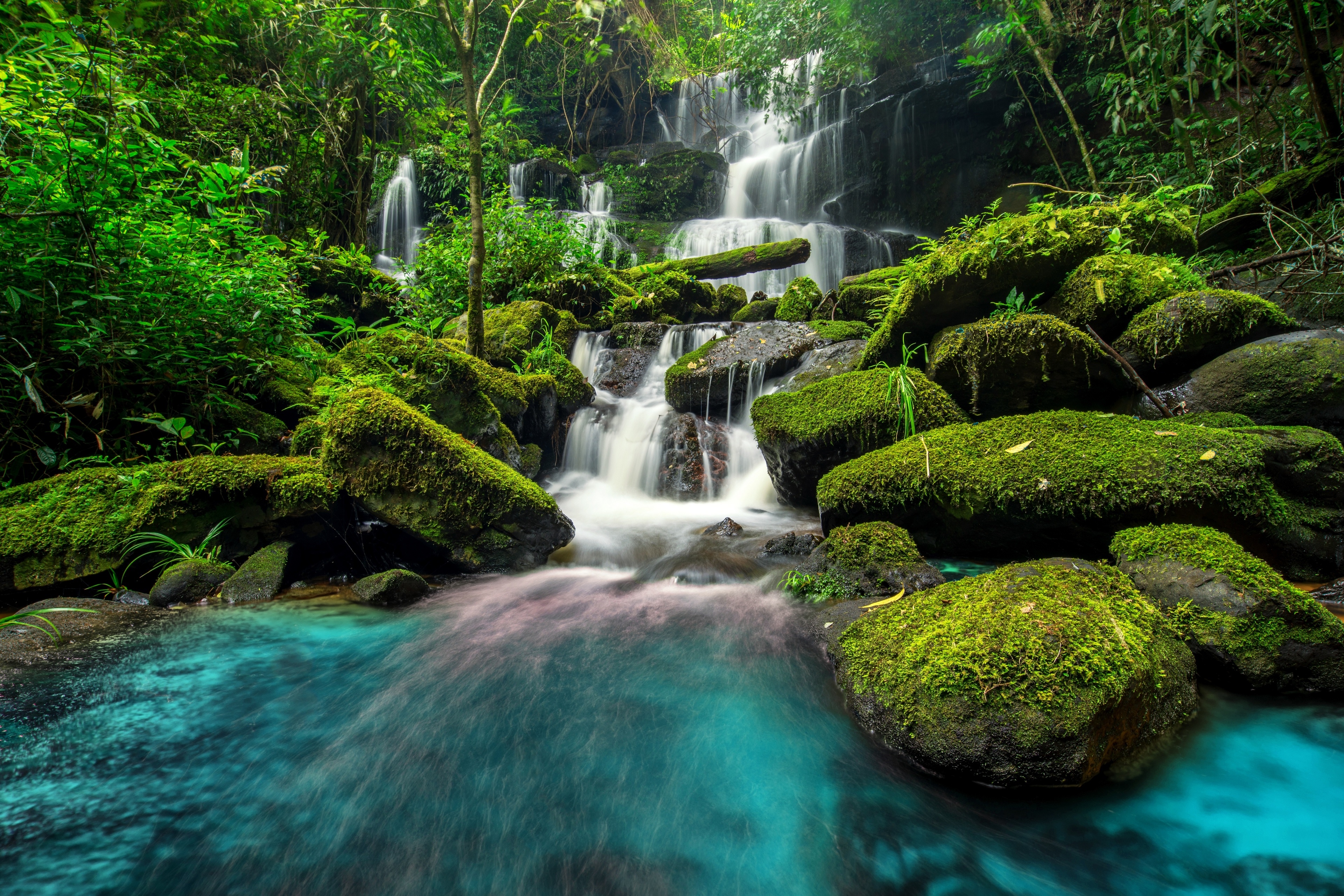4K jungle waterfall with mossy stones HD Wallpaper