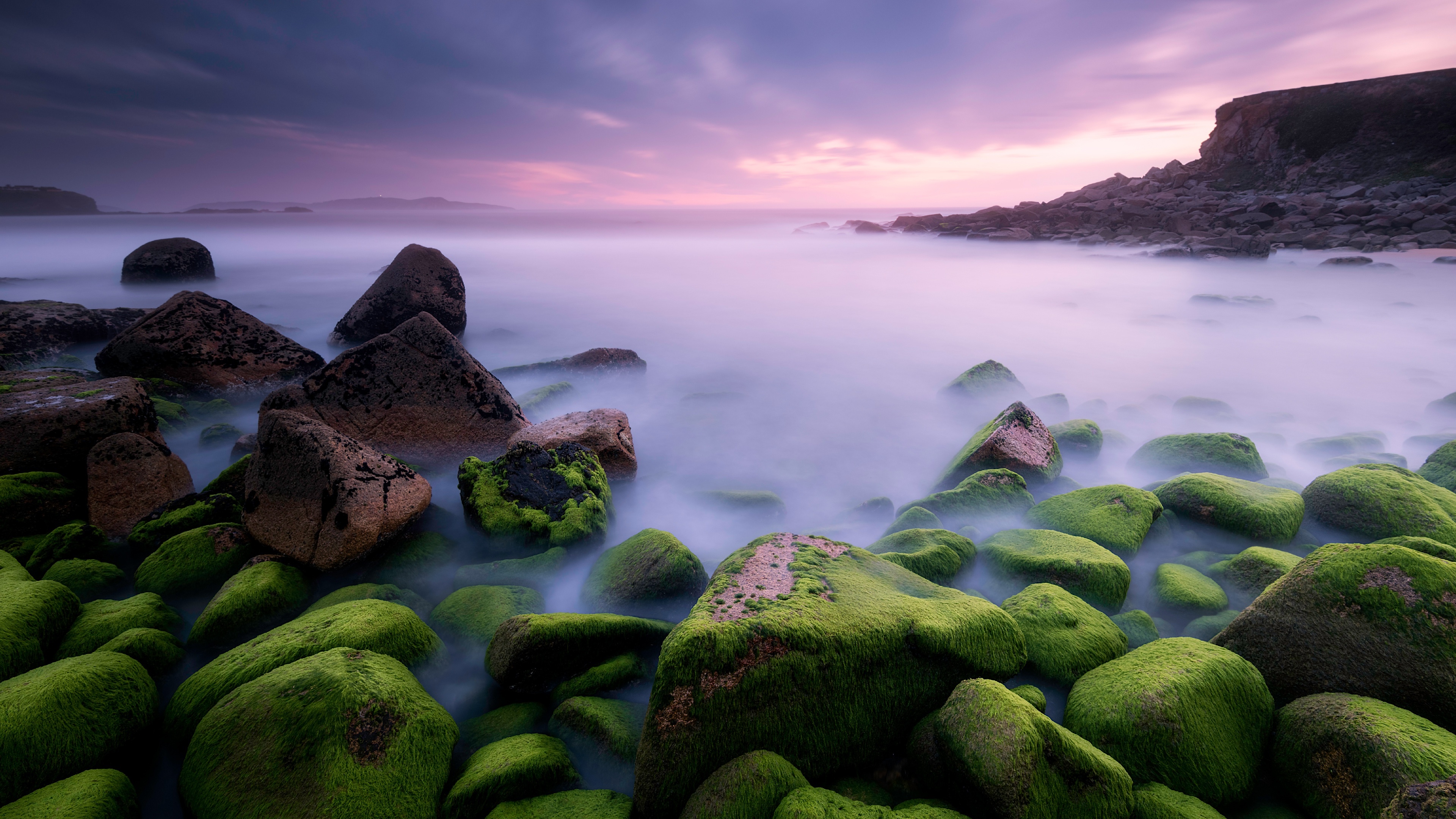 4K Coast with Mossy Stones and Mist HD Wallpaper