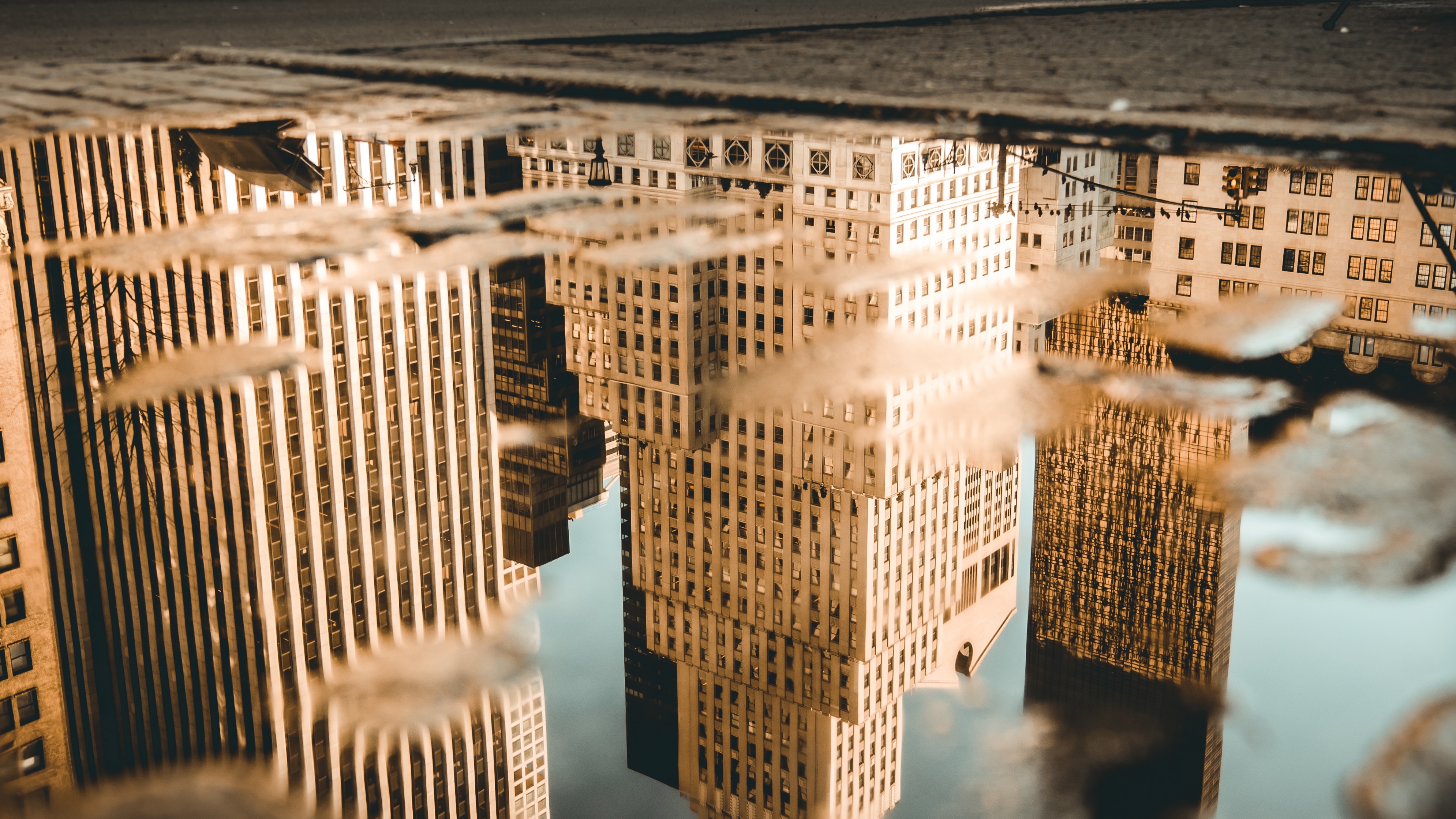 Skyscrapers reflected in a puddle HD Wallpaper