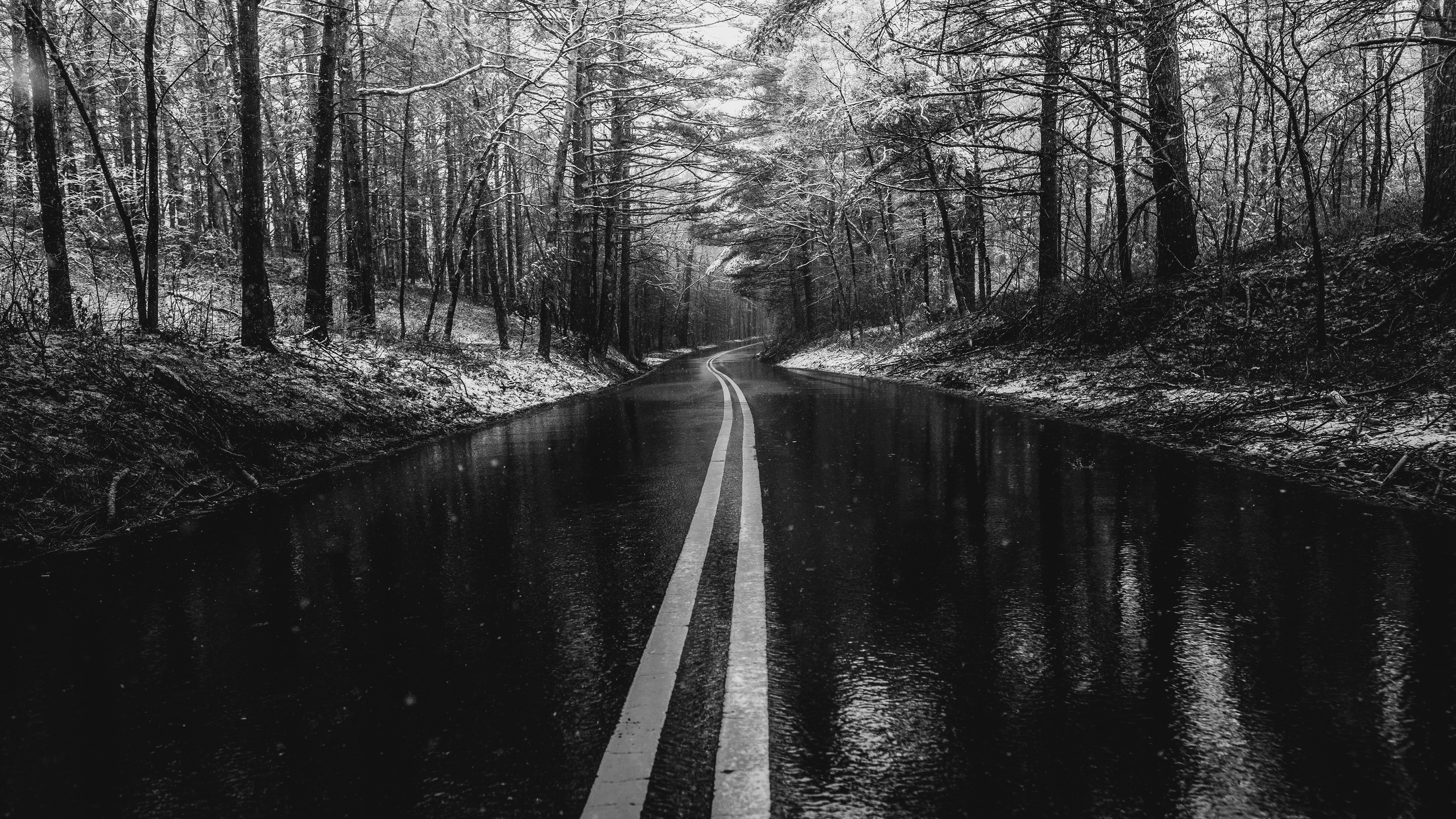 4K wet road through a snowy forest HD Wallpaper