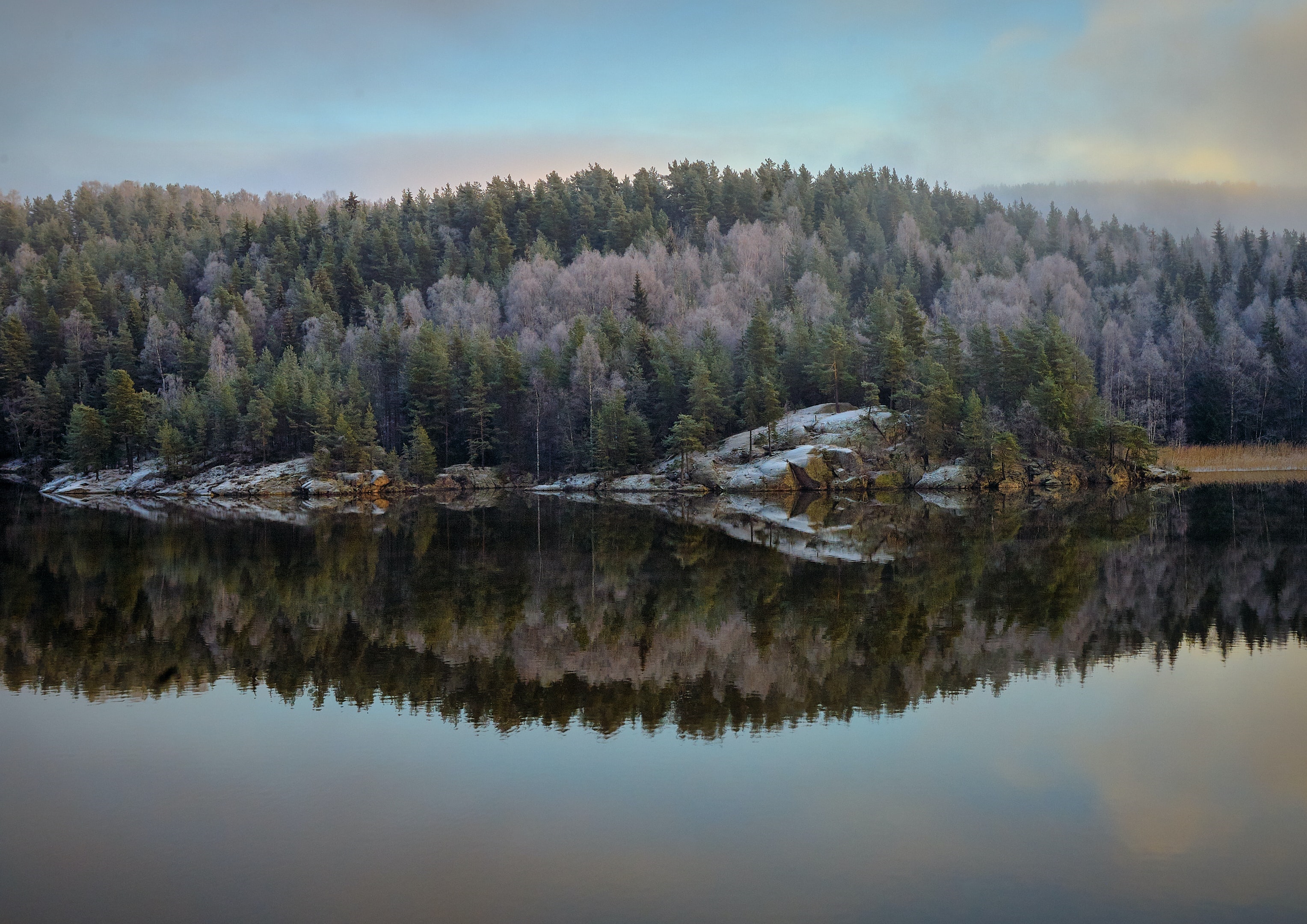 Forest reflected in a calm lake during winter HD Wallpaper