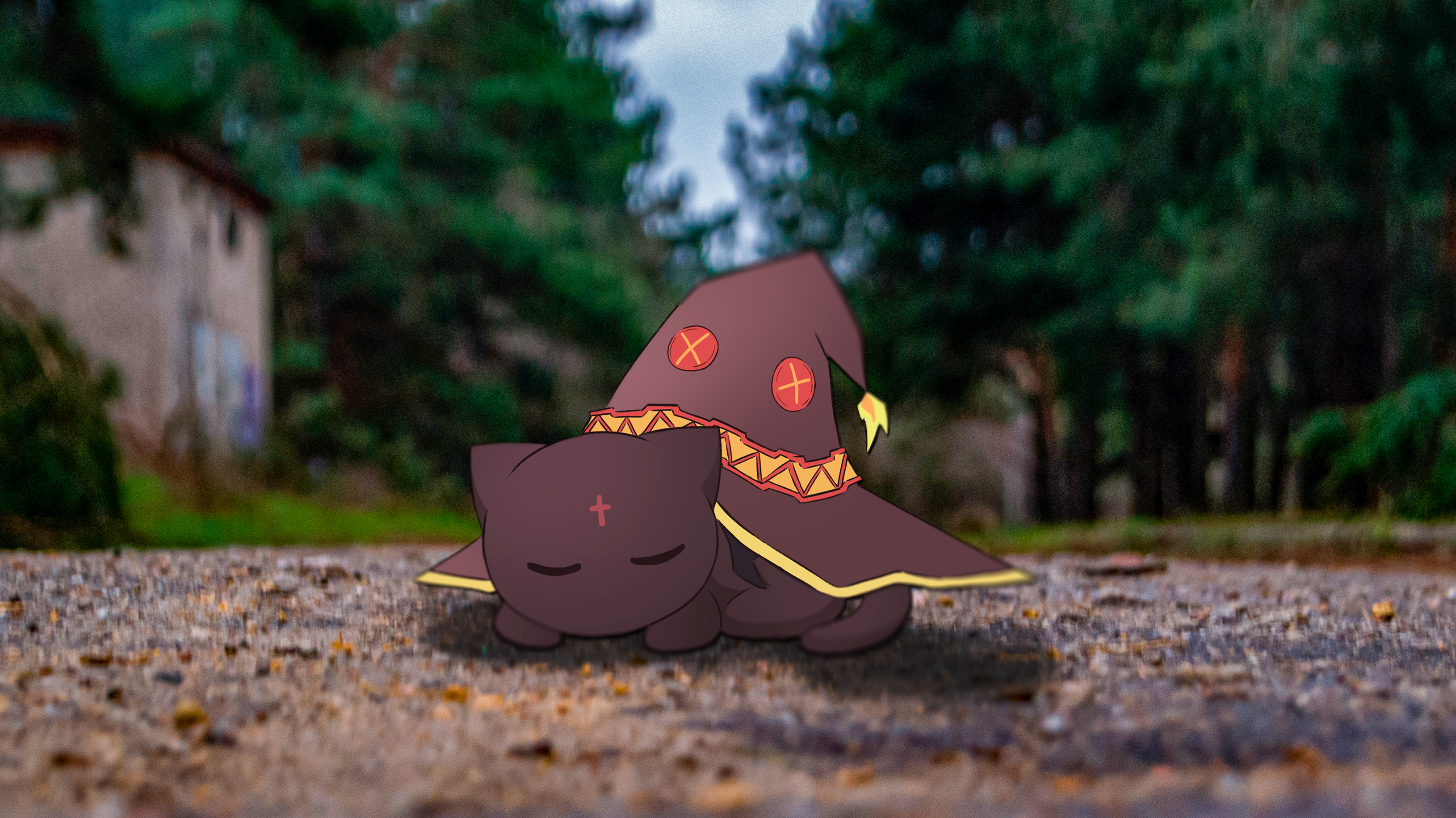 Chomusuke wearing Megumin's hat in a forest HD Wallpaper