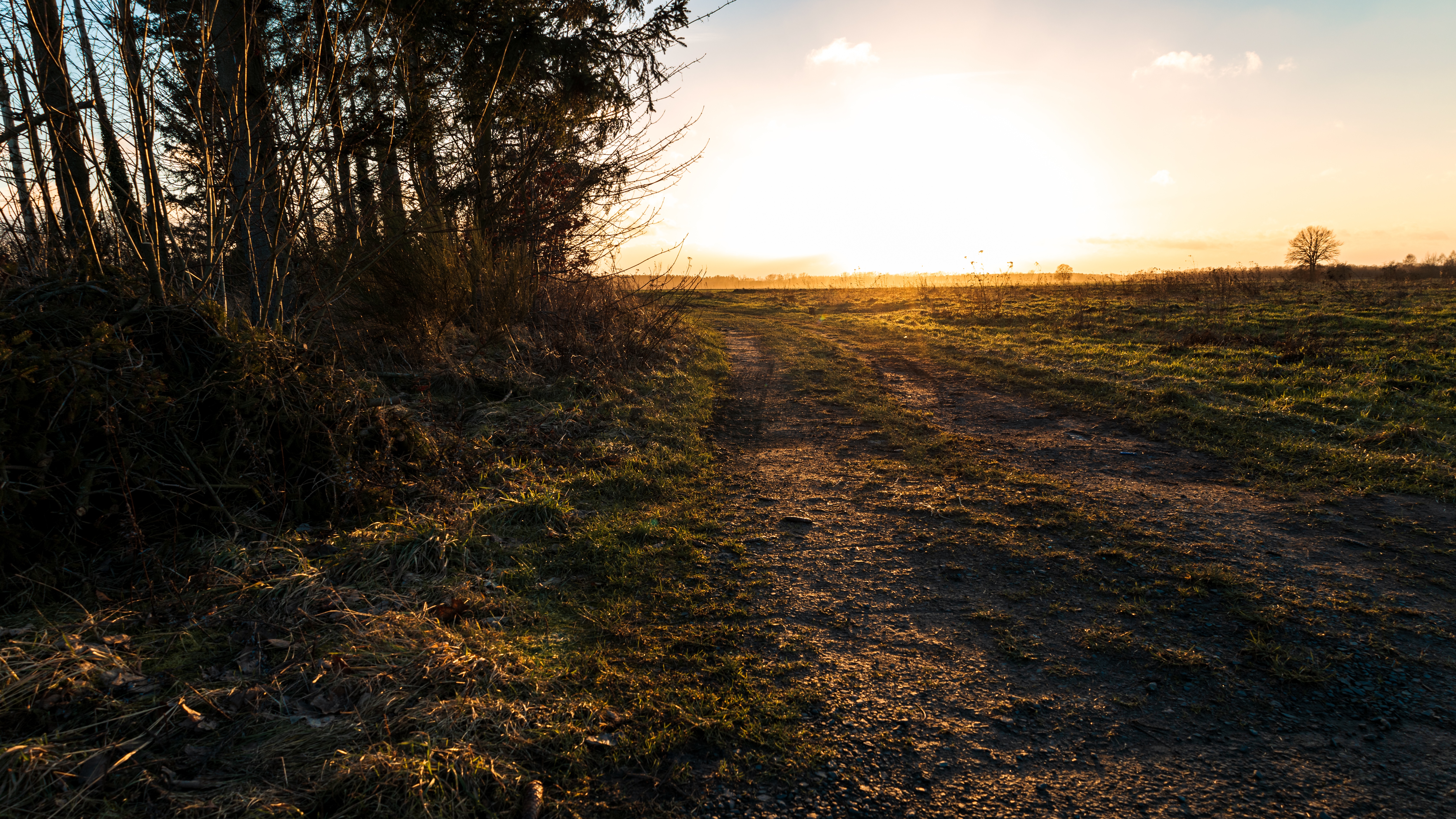 4K landscape with path and trees at sunset HD Wallpaper