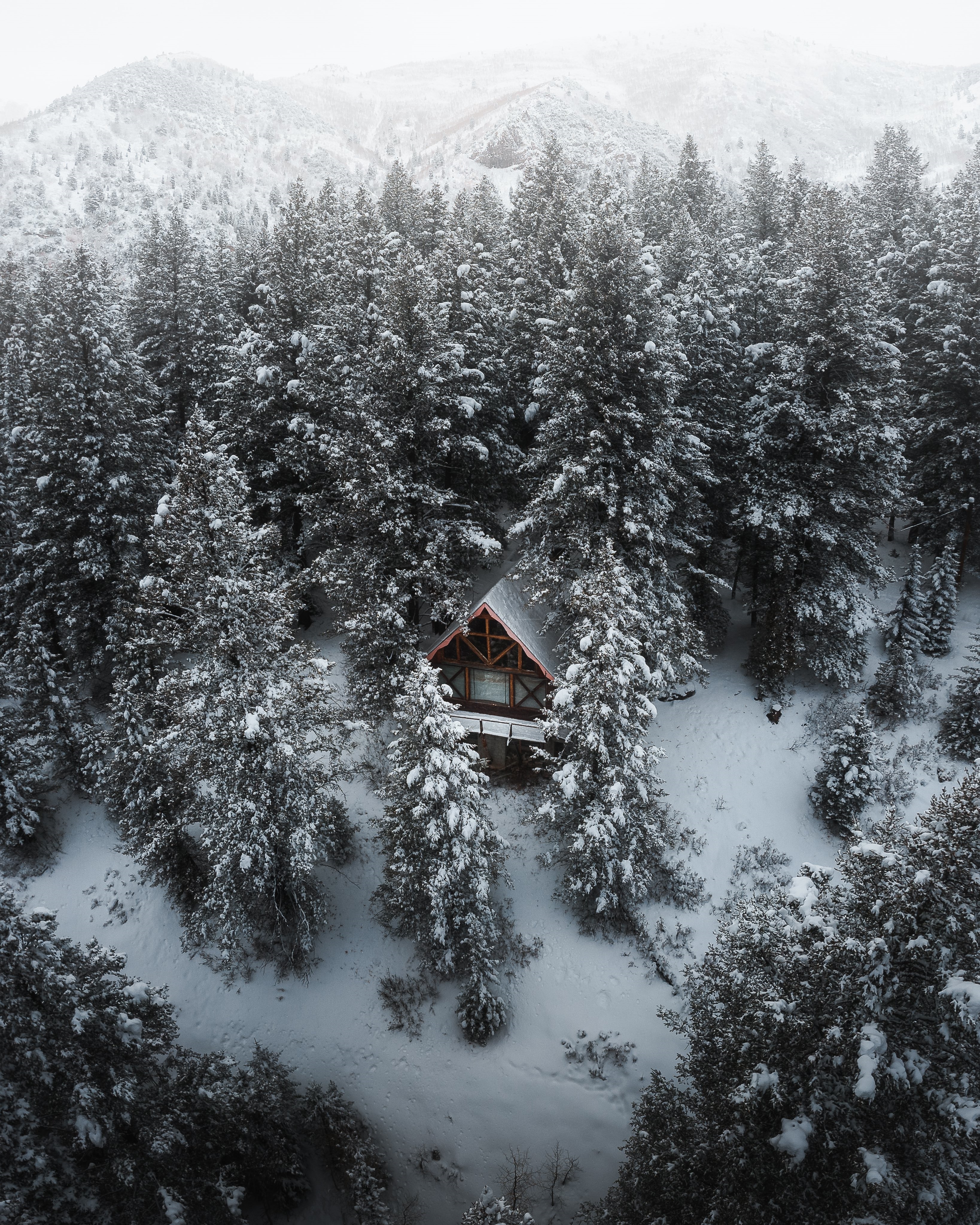 A cozy cabin nestled in a snow-covered forest HD Phone Wallpaper