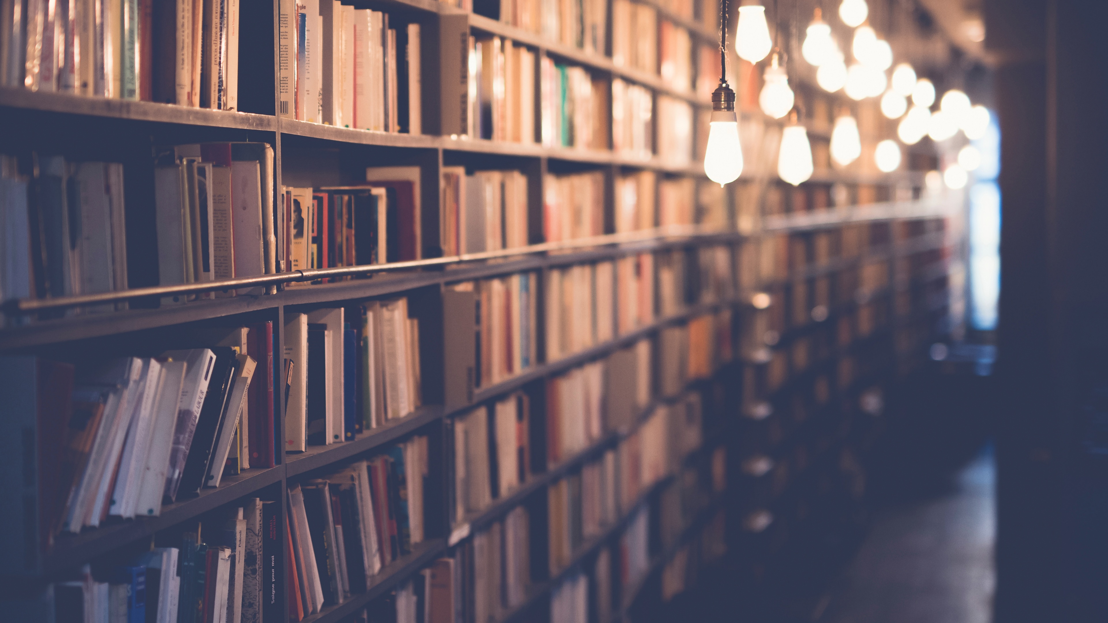 4K Library with Books and Light Bulbs HD Wallpaper