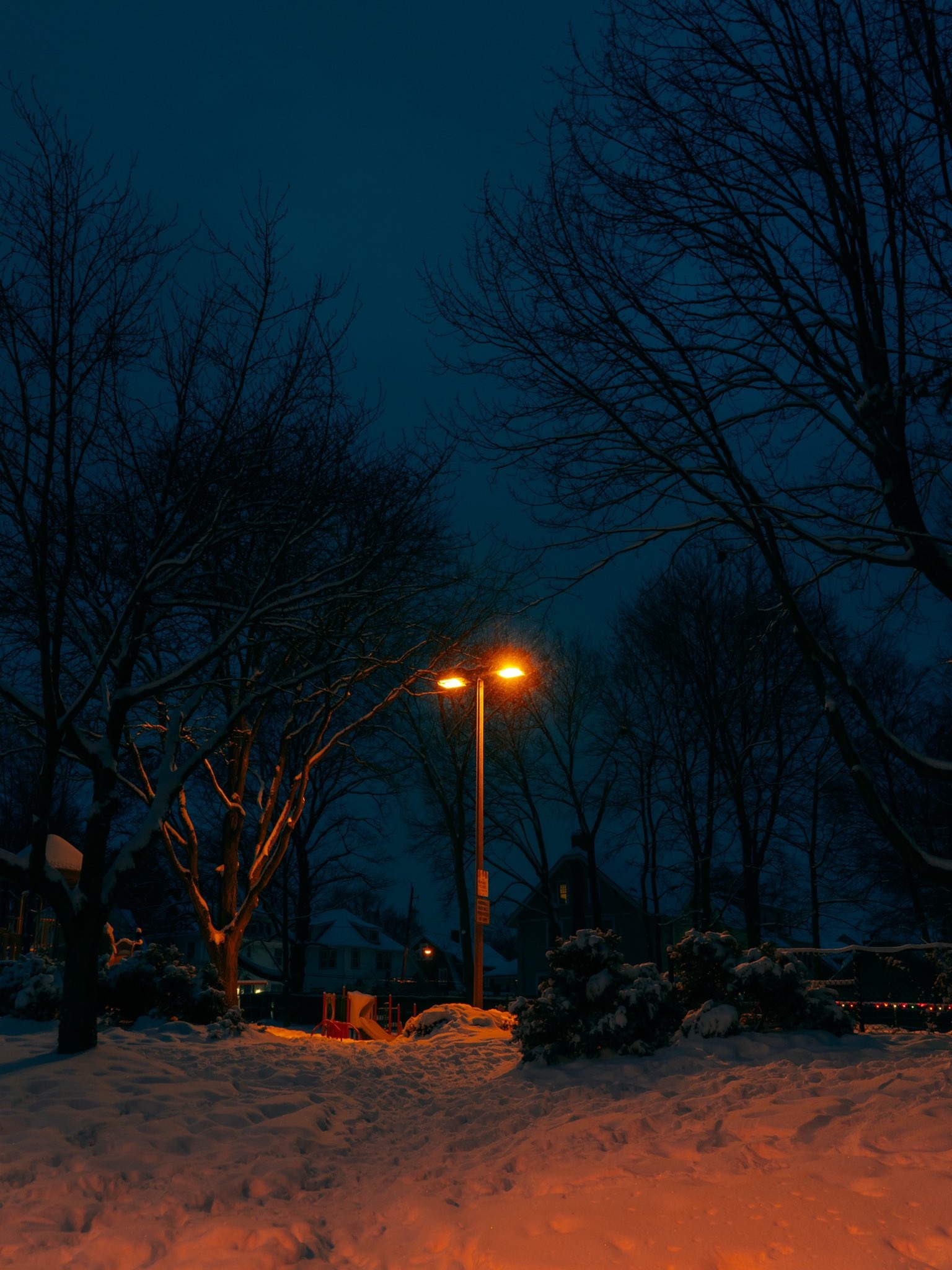 Street light in a snowy winter park at night HD Phone Wallpaper