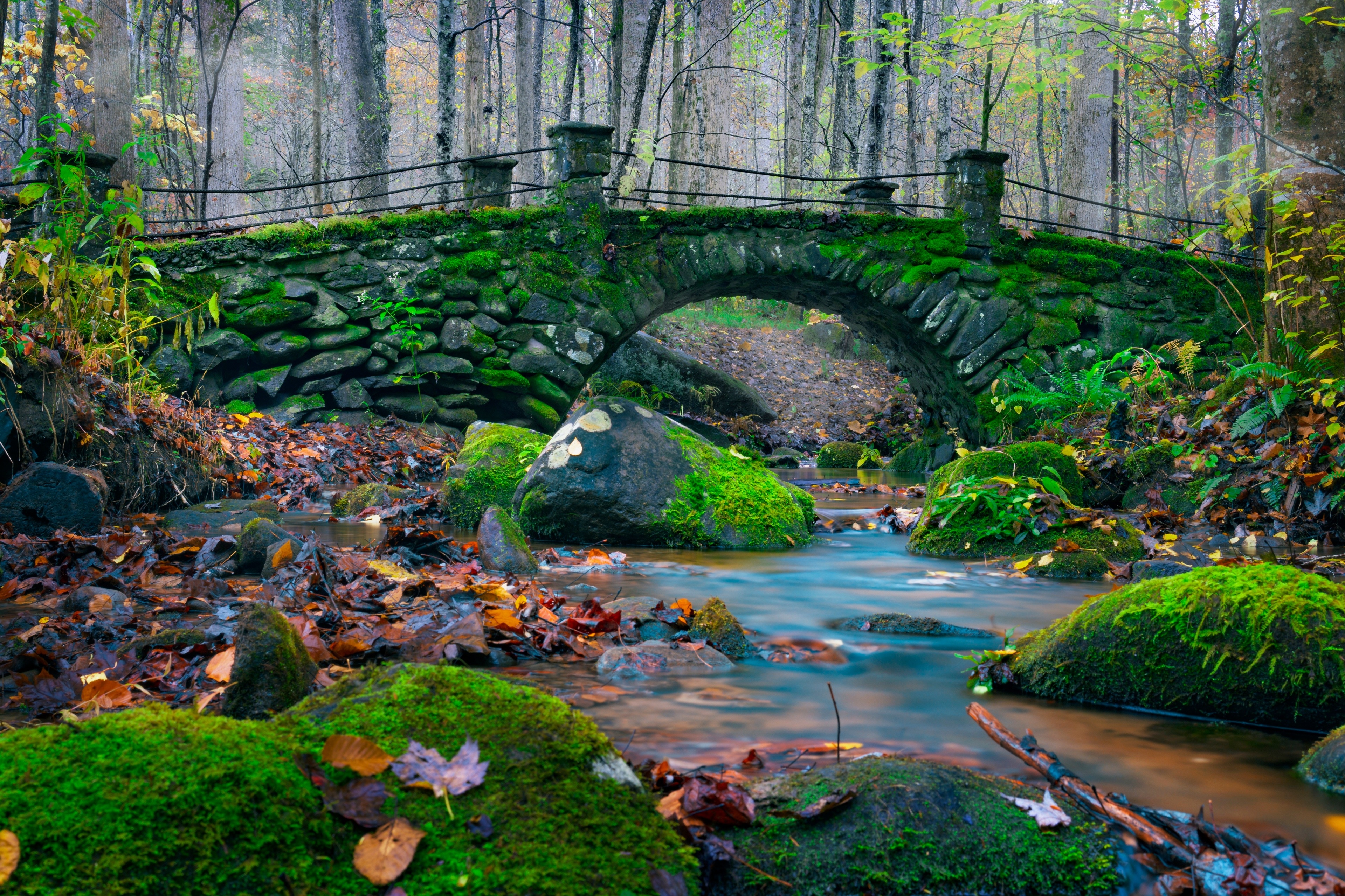 Stone bridge covered in moss over a stream in a forest HD Wallpaper