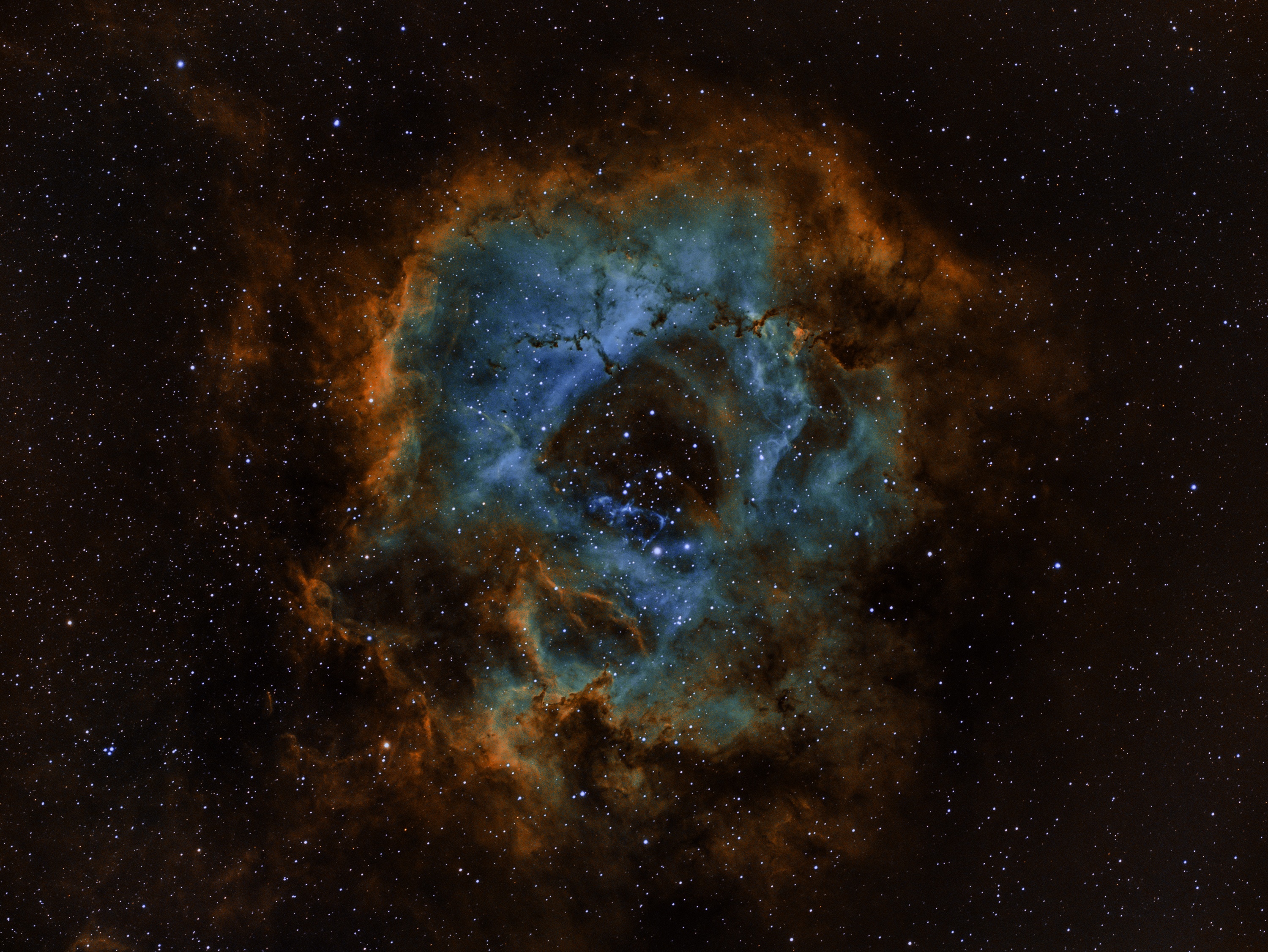 The Rosette Nebula in Space HD Wallpaper
