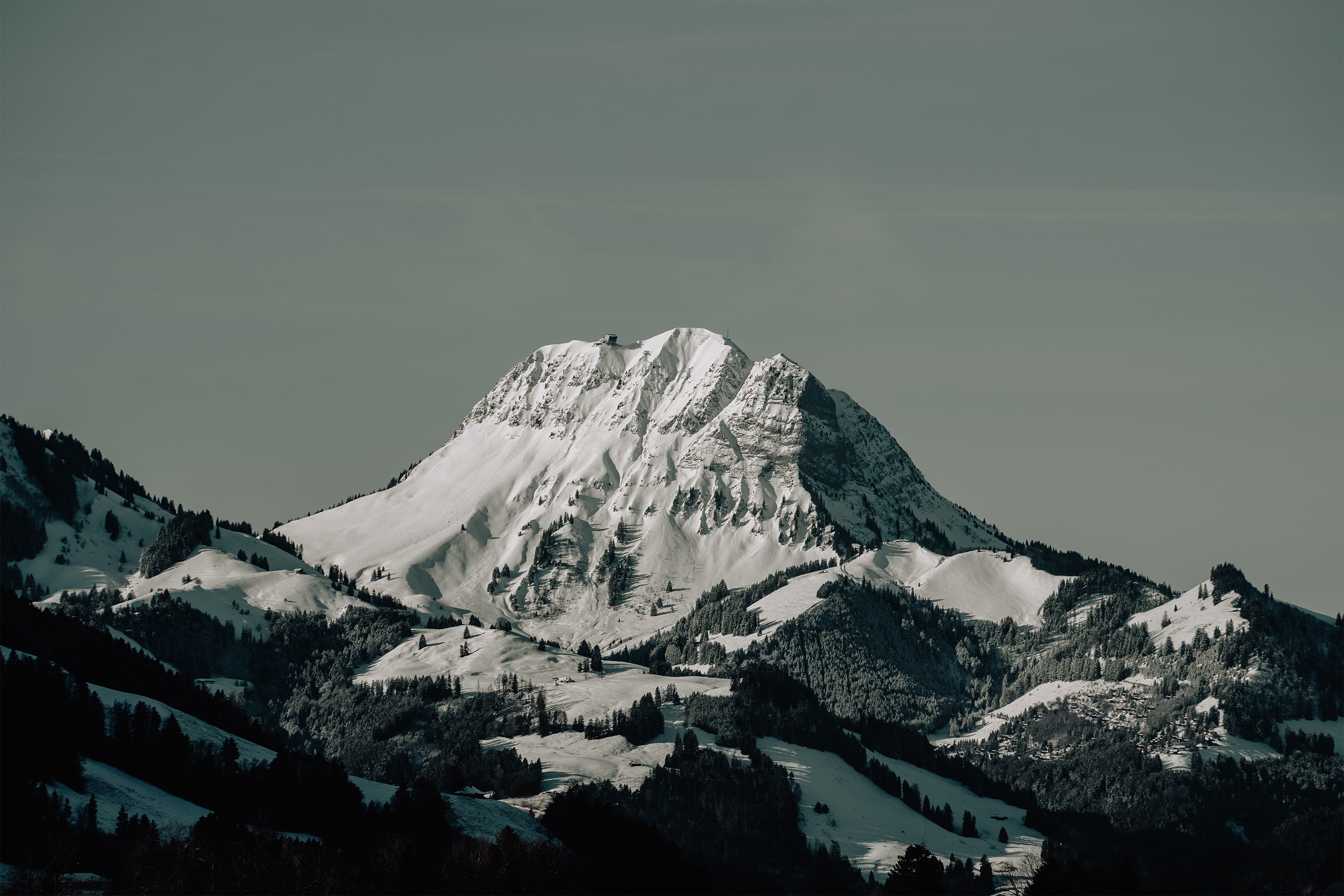 Snow-covered mountains with pine trees under a clear sky HD Wallpaper