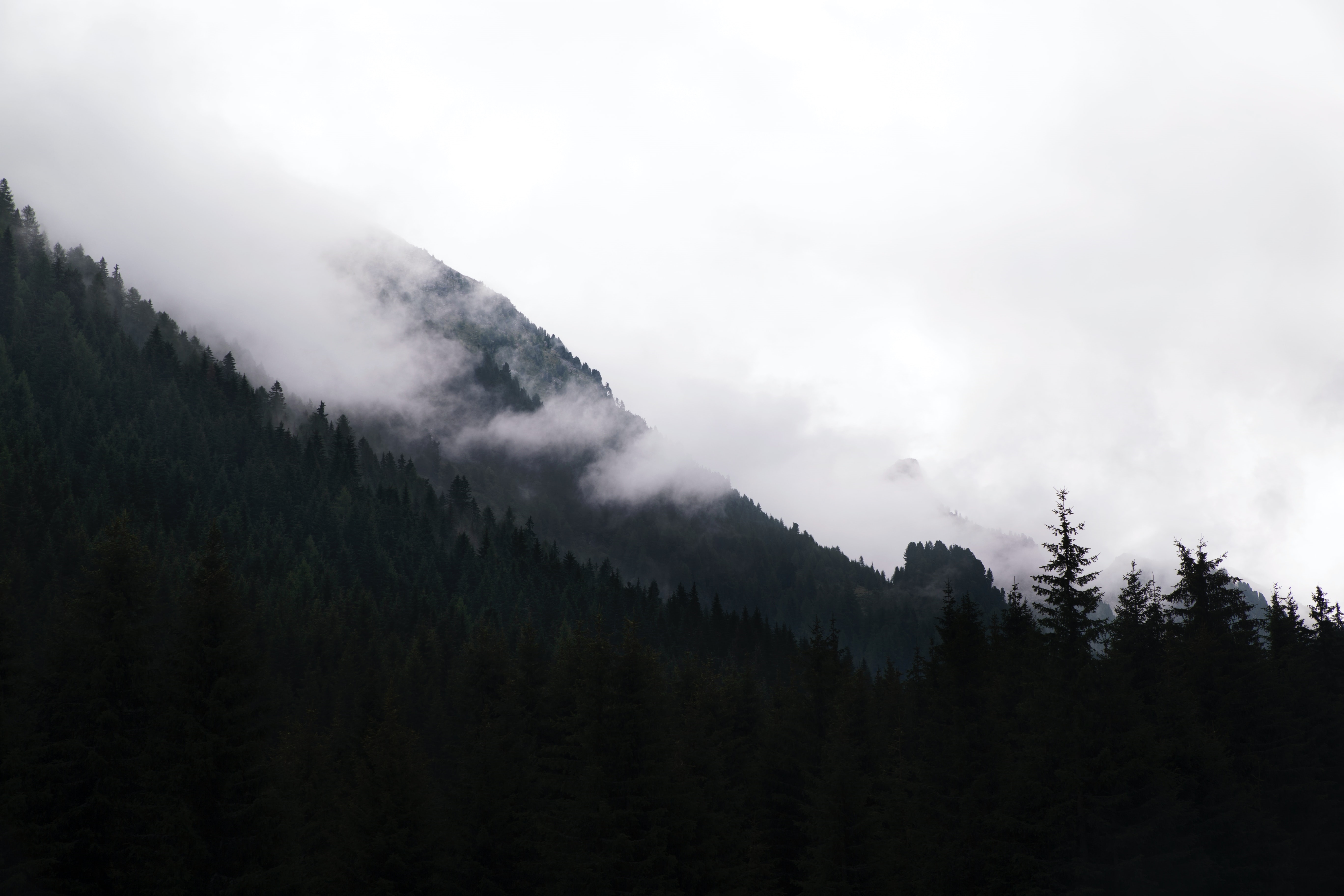 Misty mountain forest landscape HD Wallpaper