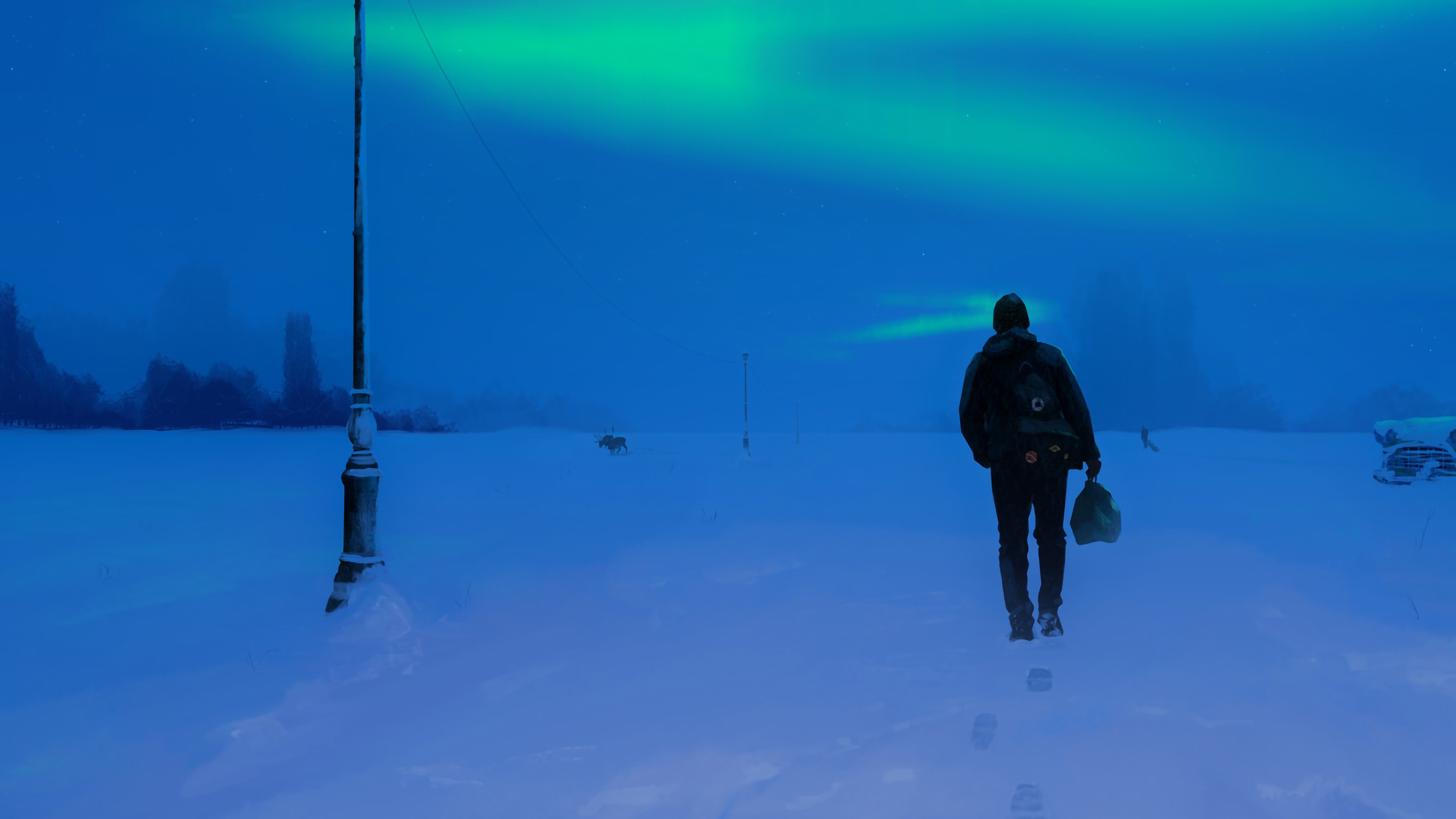Man walking in snow under aurorae HD Wallpaper