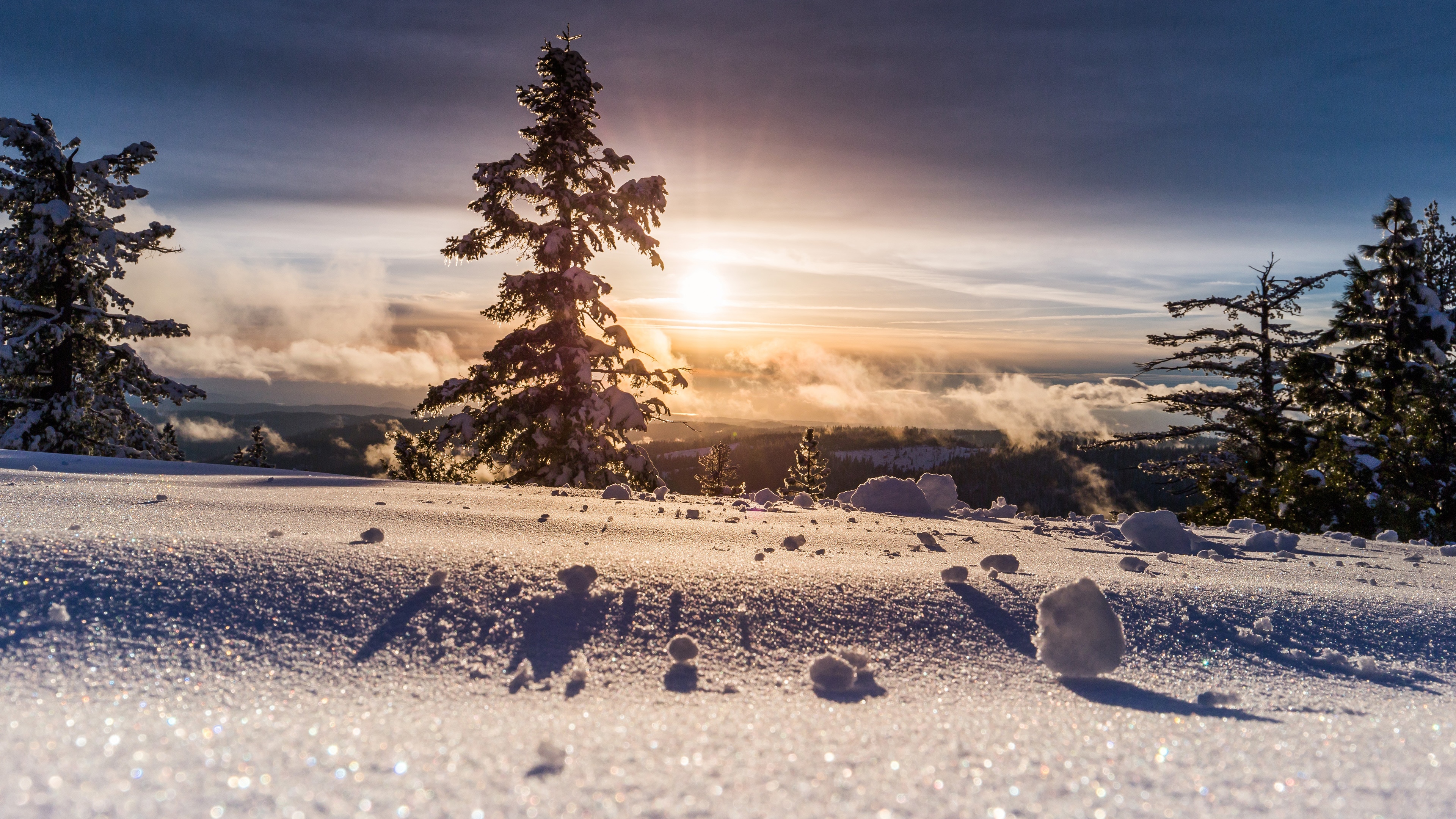 4K winter landscape with pine trees and sunlight HD Wallpaper