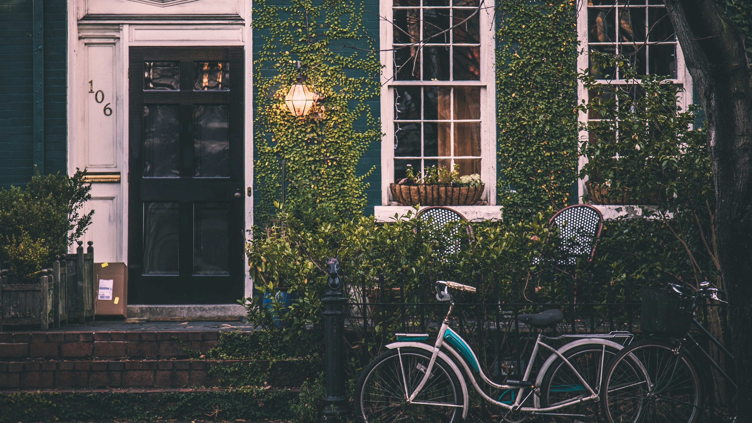 House with ivy, lamp, and bicycle HD Wallpaper